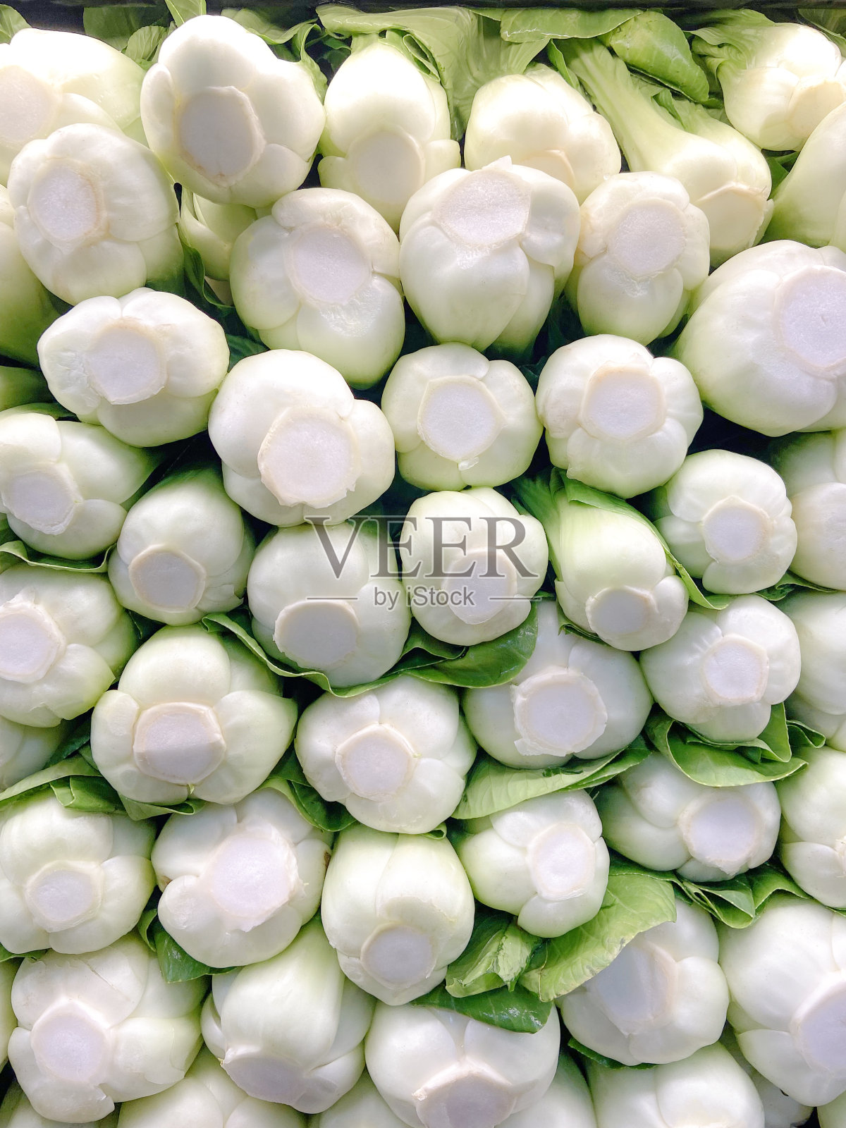 白菜-白菜-白菜-白菜照片摄影图片