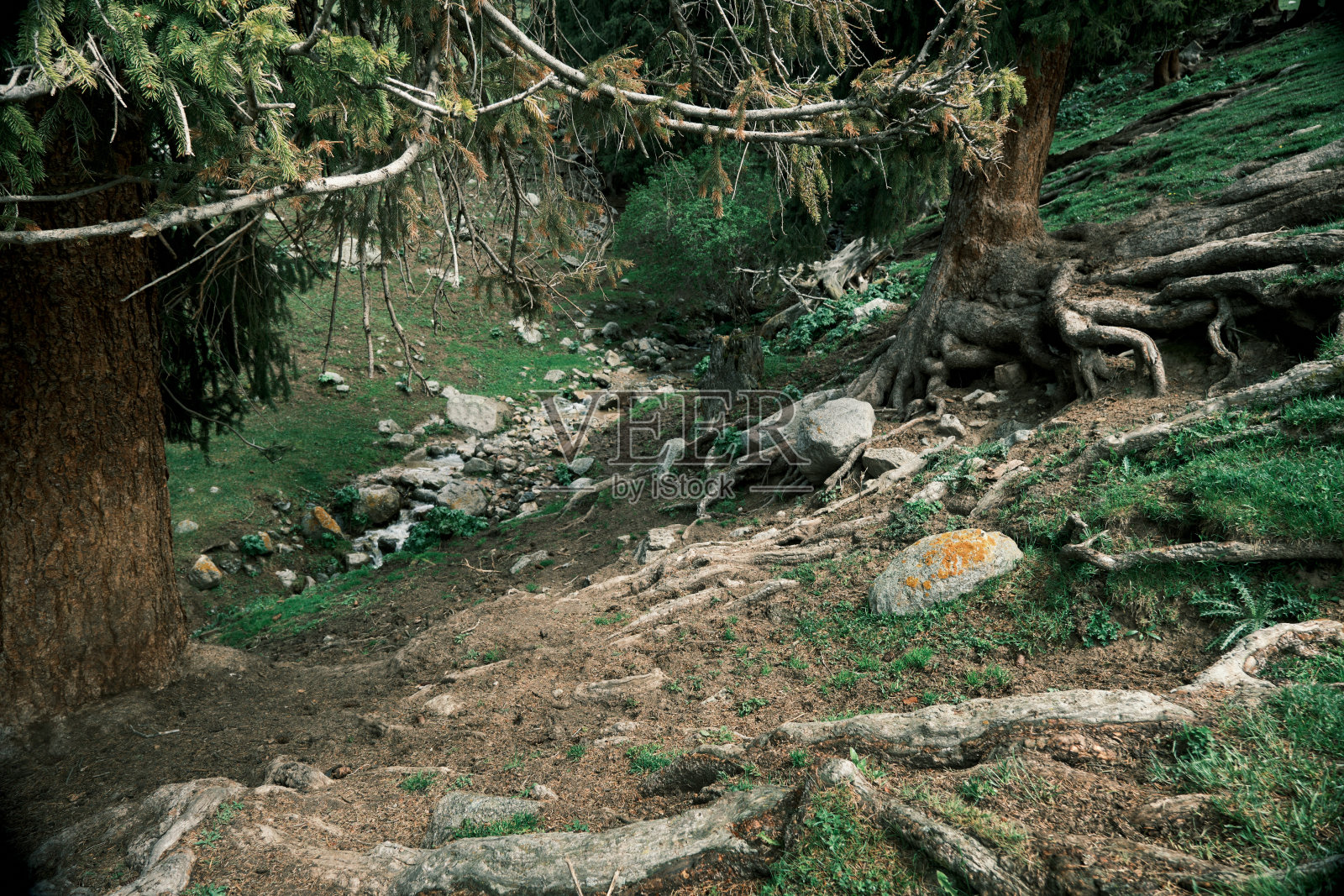 山间河流照片摄影图片