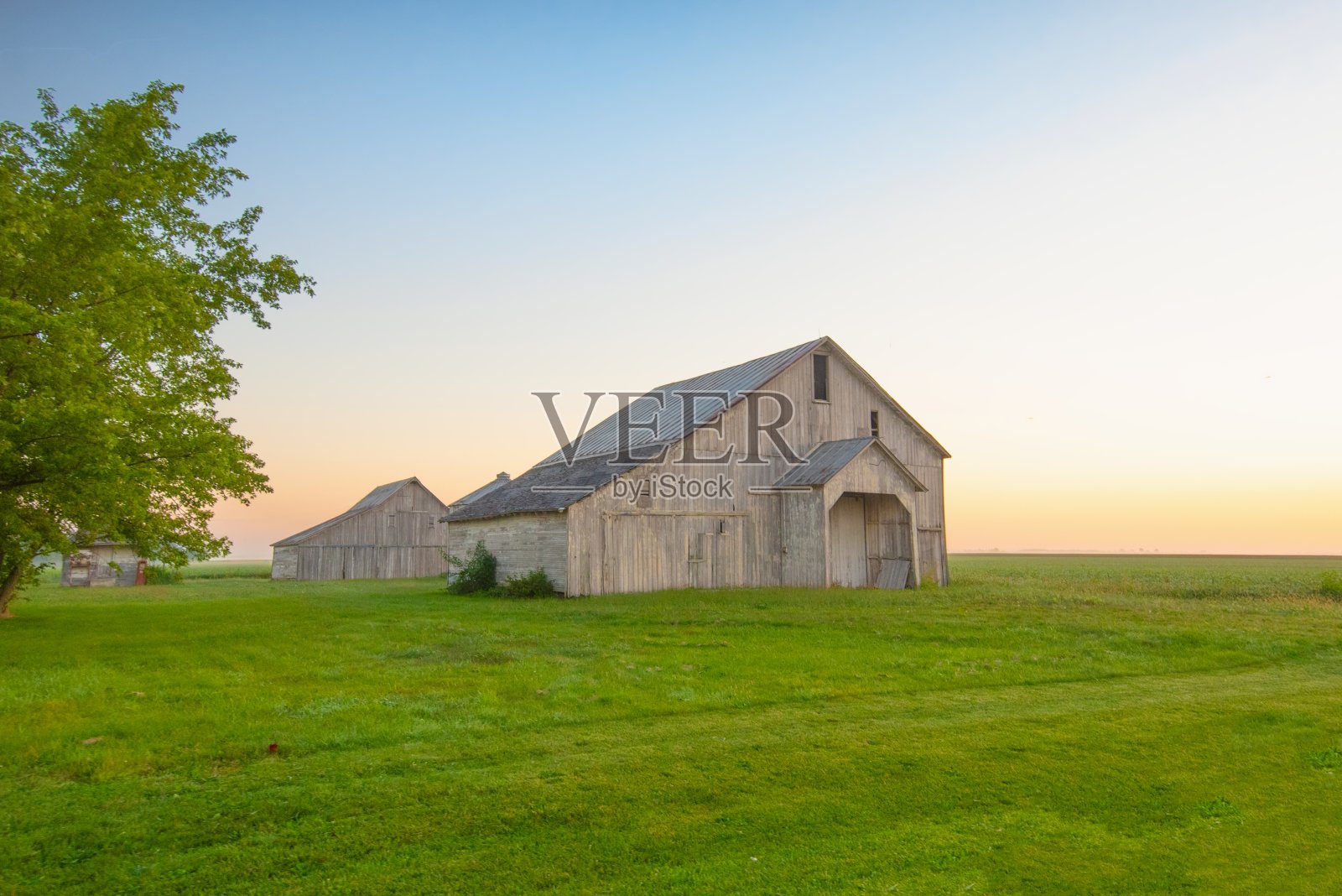 老风化谷仓-蒂普顿县，印第安纳州照片摄影图片