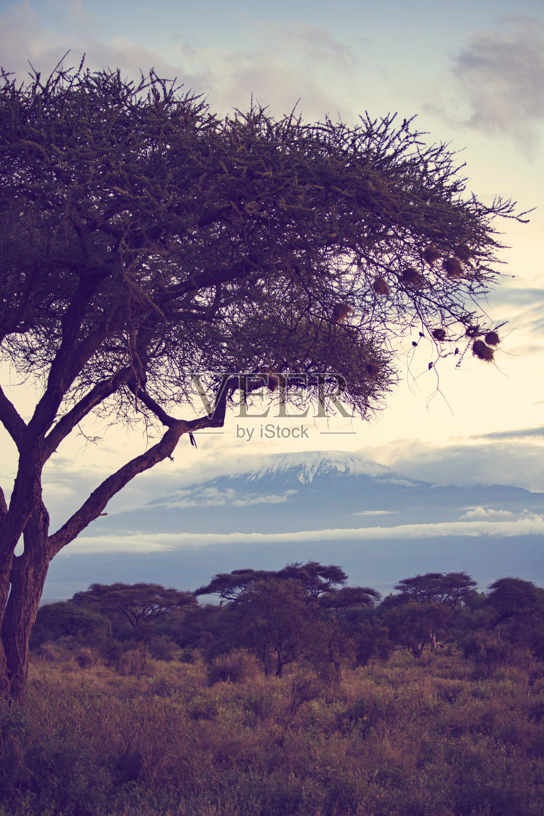 日落在非洲大草原，安博塞利国家公园，肯尼亚照片摄影图片