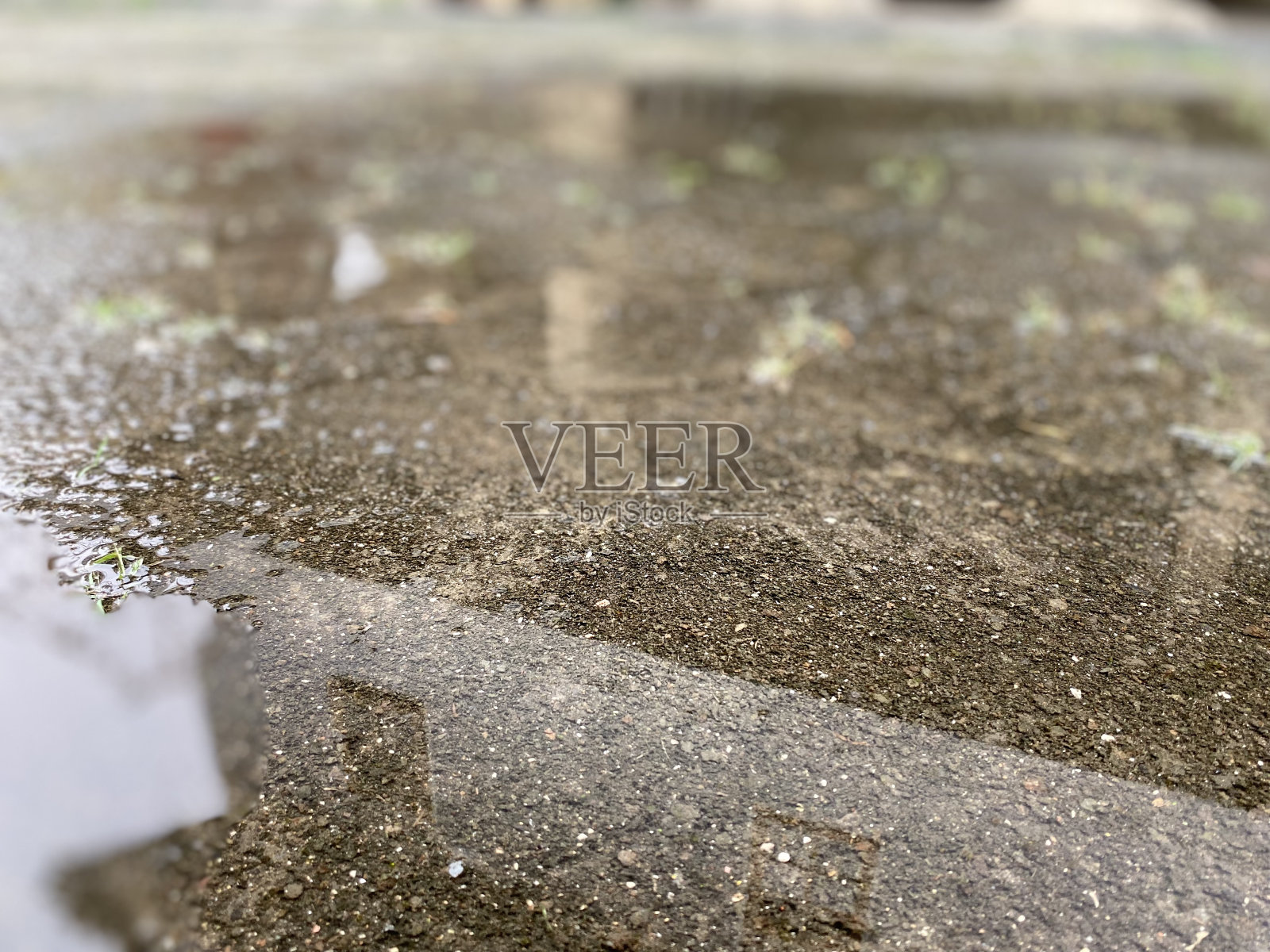 雨后花园的水坑照片摄影图片