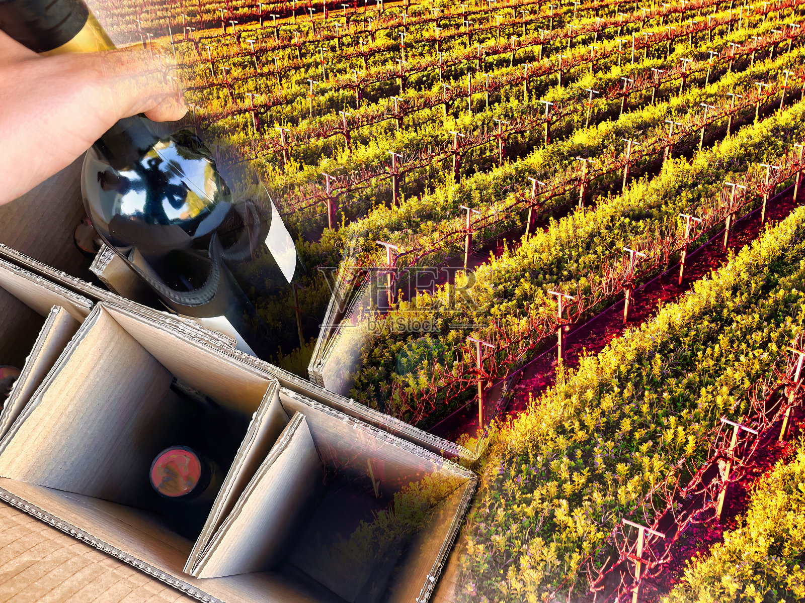 葡萄酒装在盒子里照片摄影图片