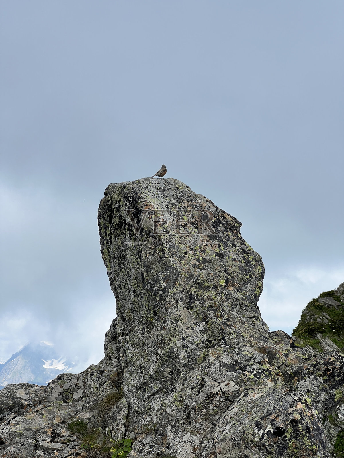 乌云天空下的一块石头，石头上的一只小鸟照片摄影图片