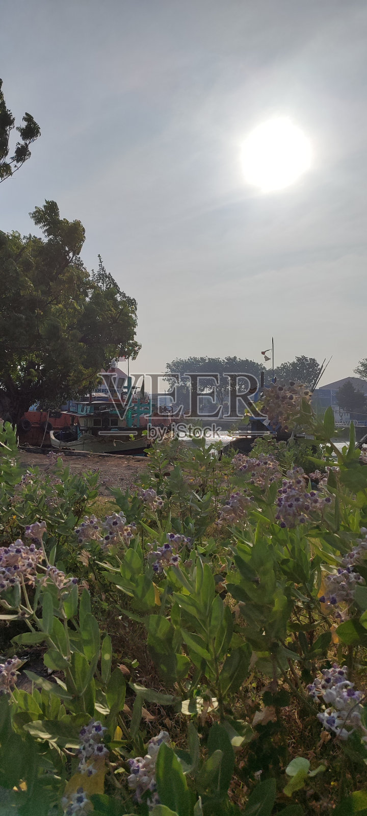 从远处拍摄的船的肖像照片摄影图片