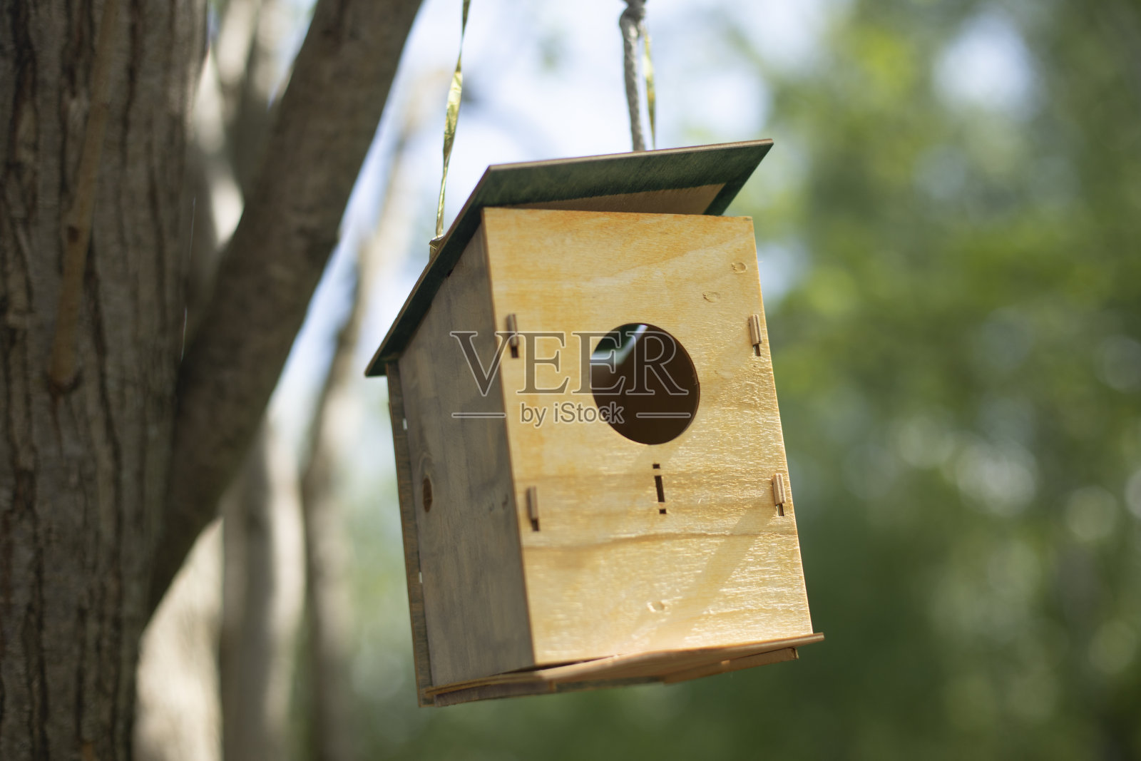 胶合板鸟屋。喂鸟。房子挂在树上。照片摄影图片