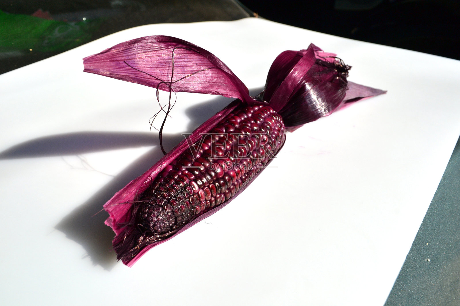 白色背景上的紫色玉米穗照片摄影图片