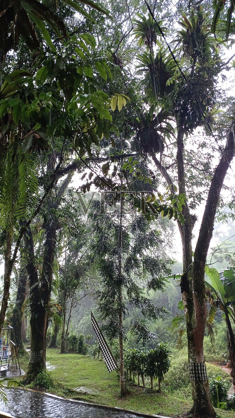 一个公园照片摄影图片