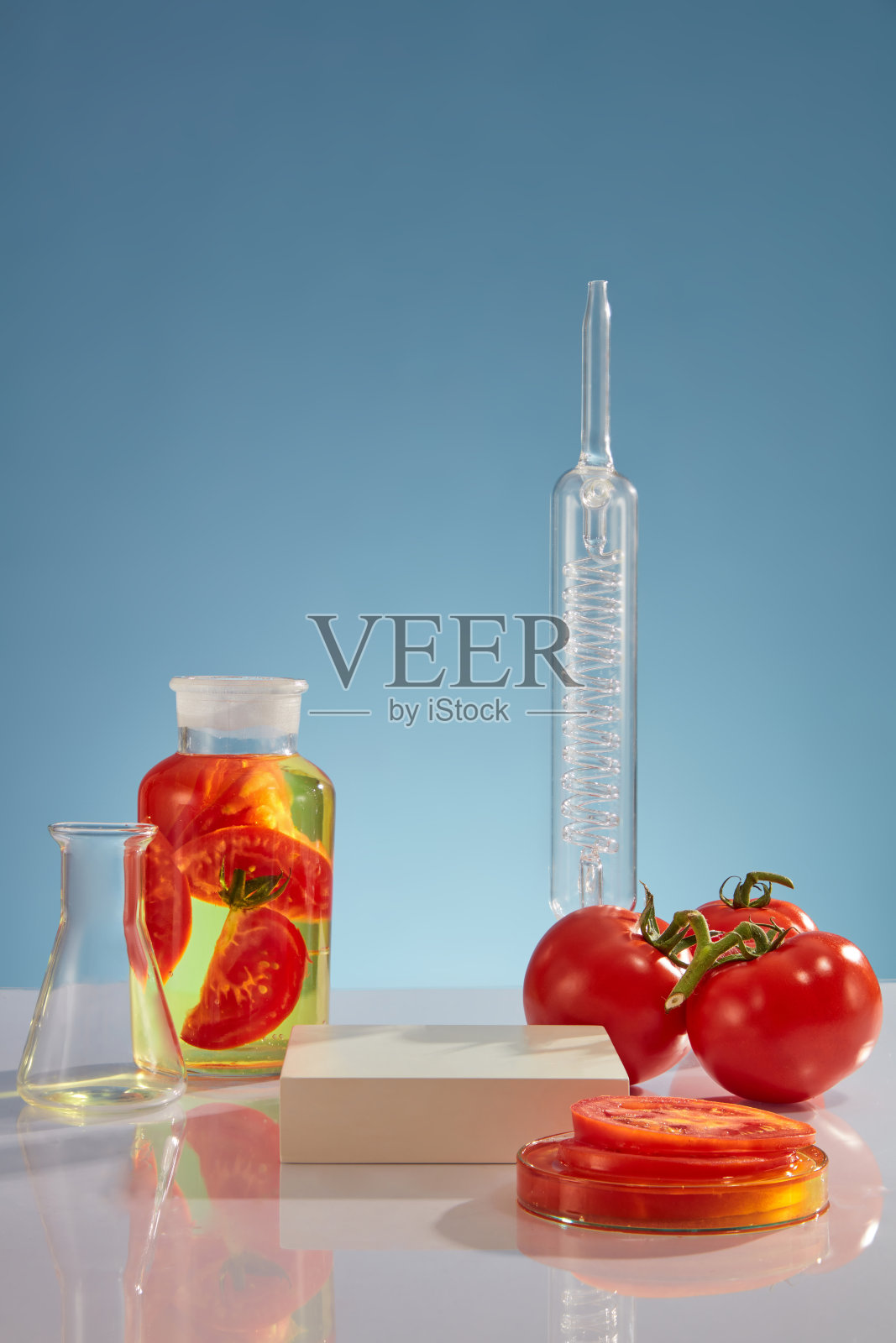 番茄的概念照片摄影图片