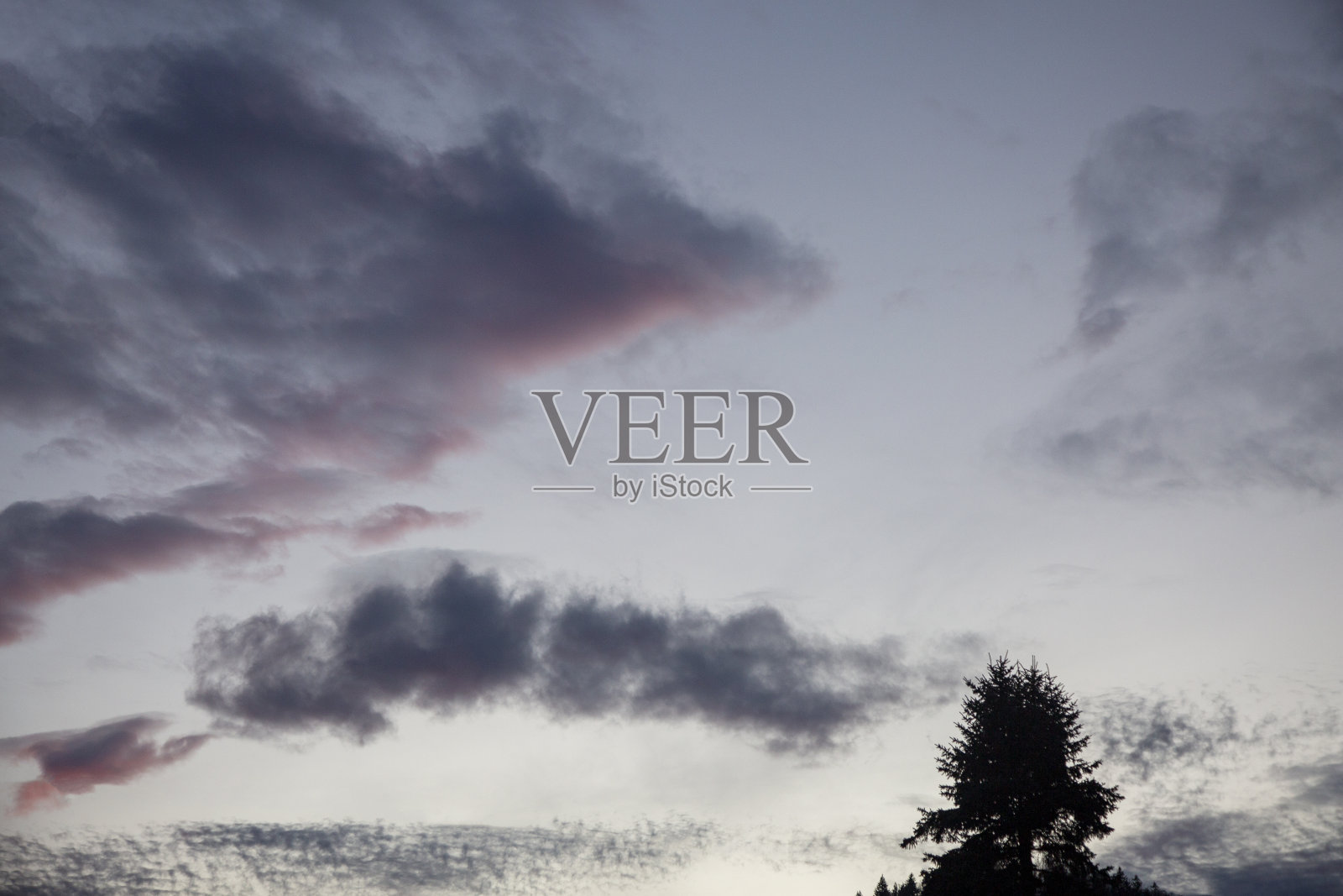 令人惊叹的余辉与美丽的戏剧性天空在日落森林景观照片摄影图片