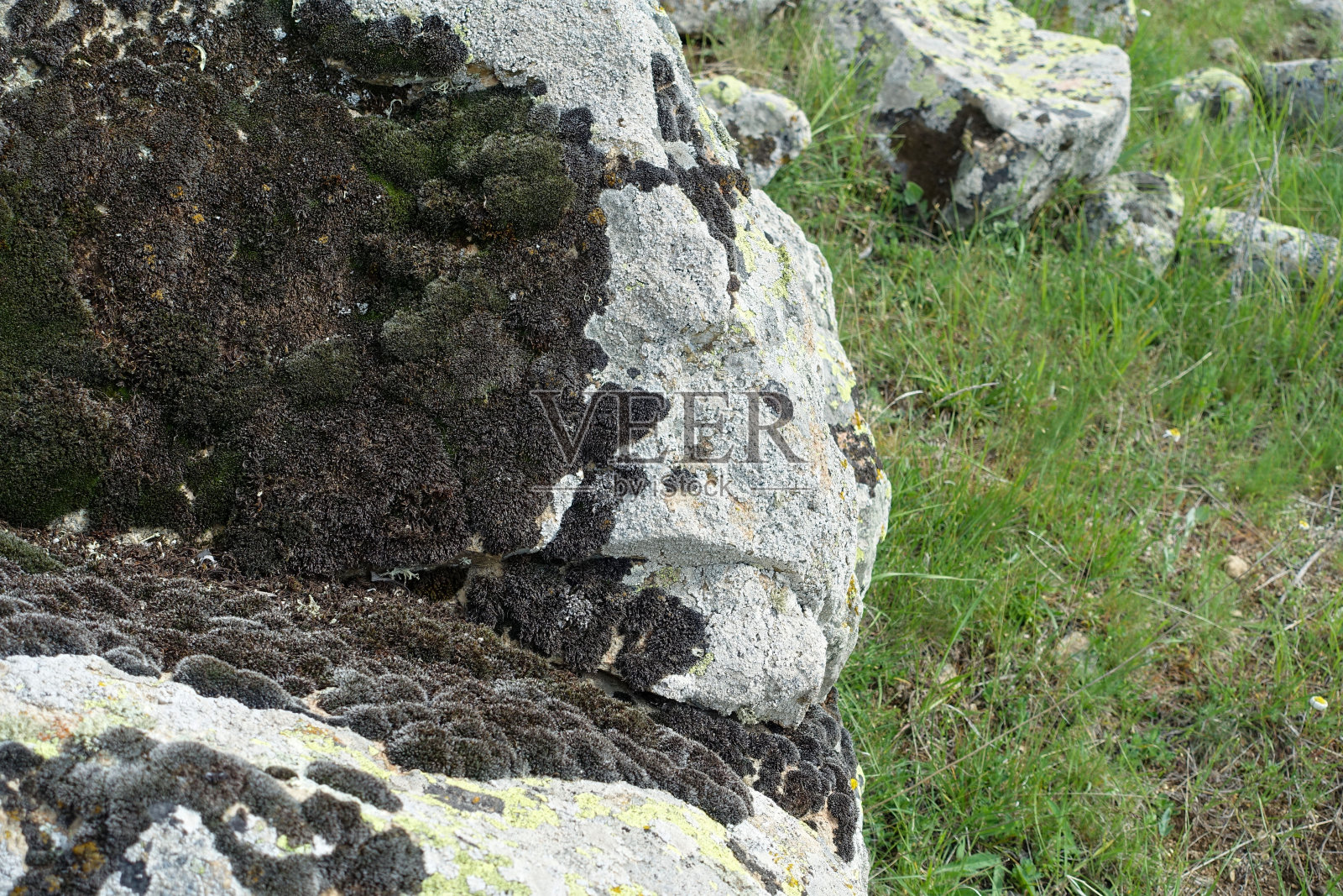 长满青苔的岩石，长满青苔的老岩石，照片摄影图片