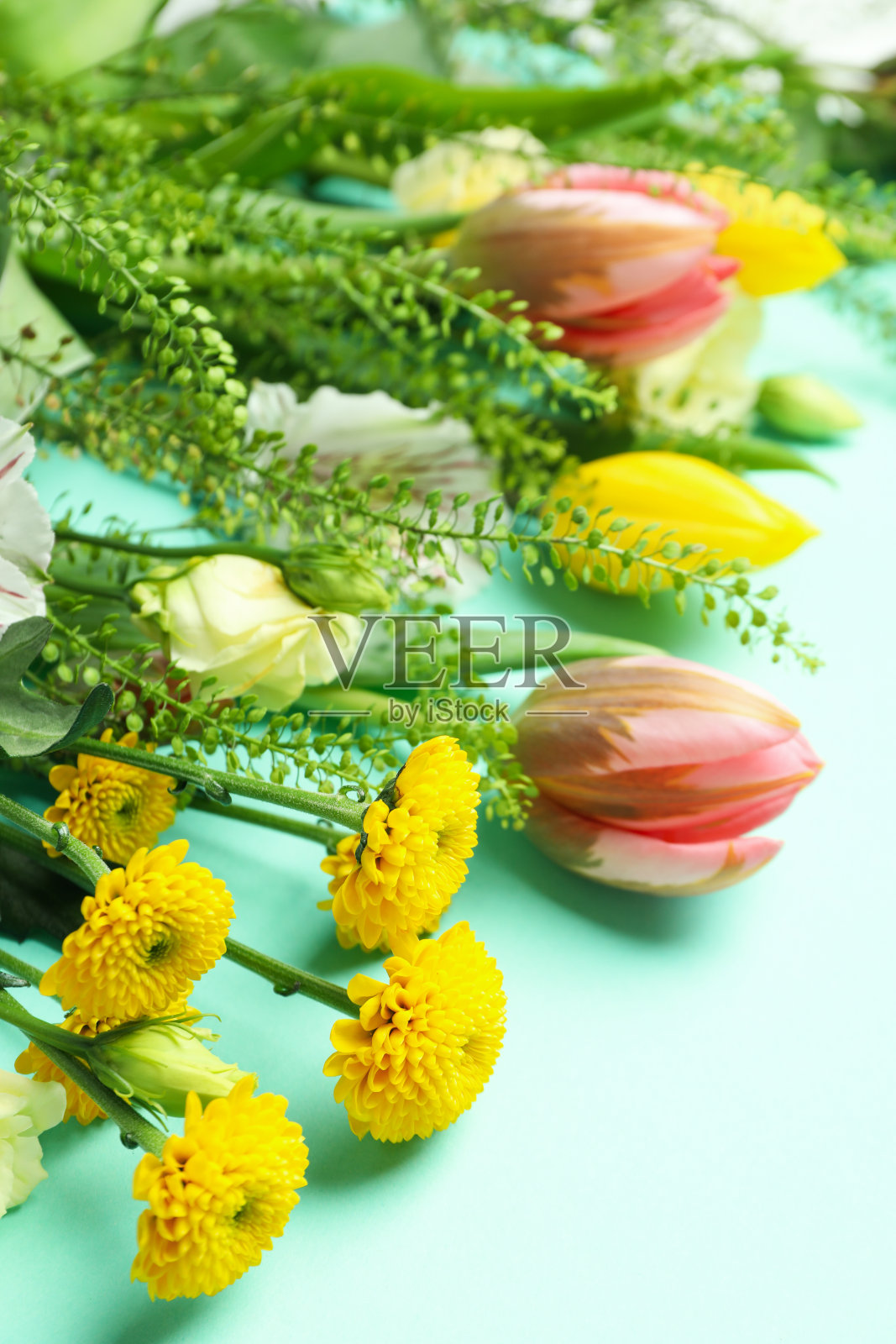 你好，春天的概念与鲜花薄荷的背景照片摄影图片