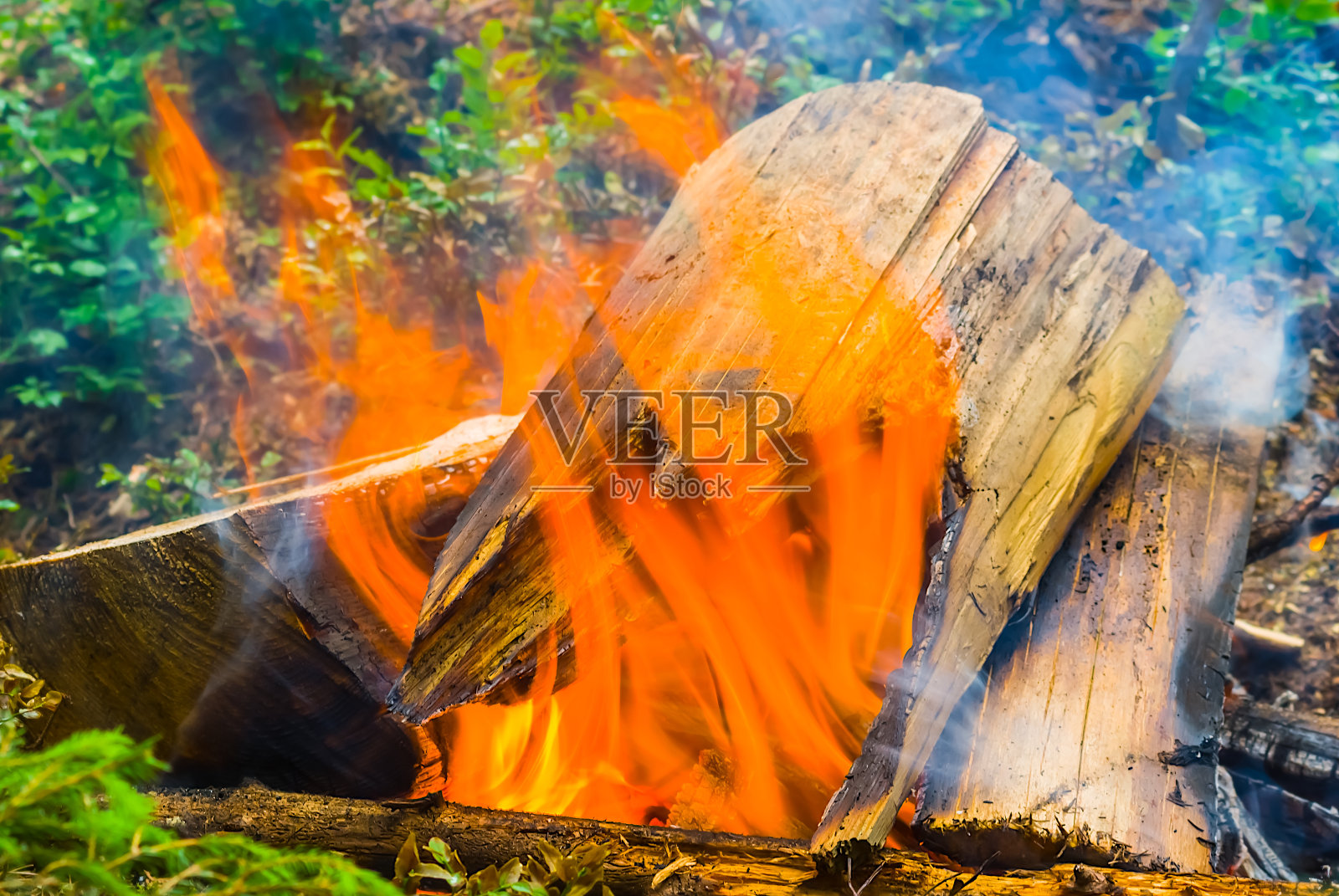 森林中的篝火特写，自然露营的背景照片摄影图片
