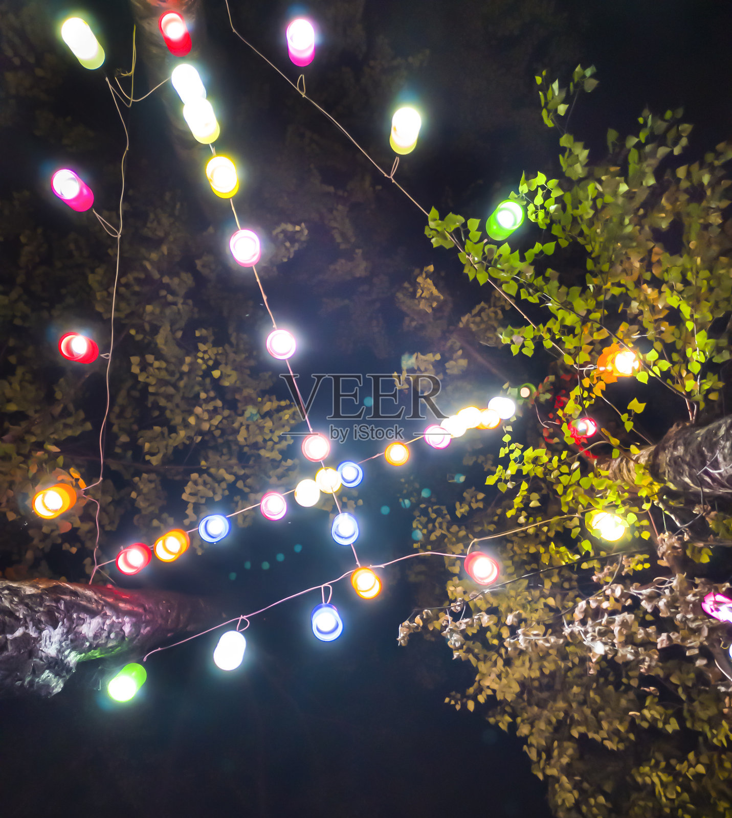 从下面看，树上挂着五颜六色的灯照片摄影图片