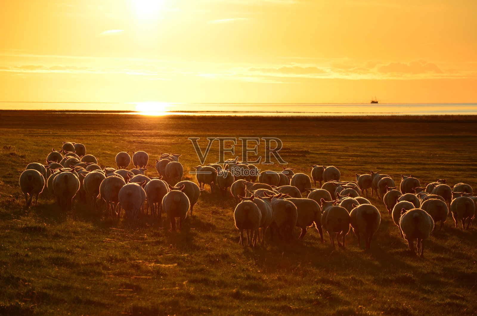 今天最后的活动照片摄影图片