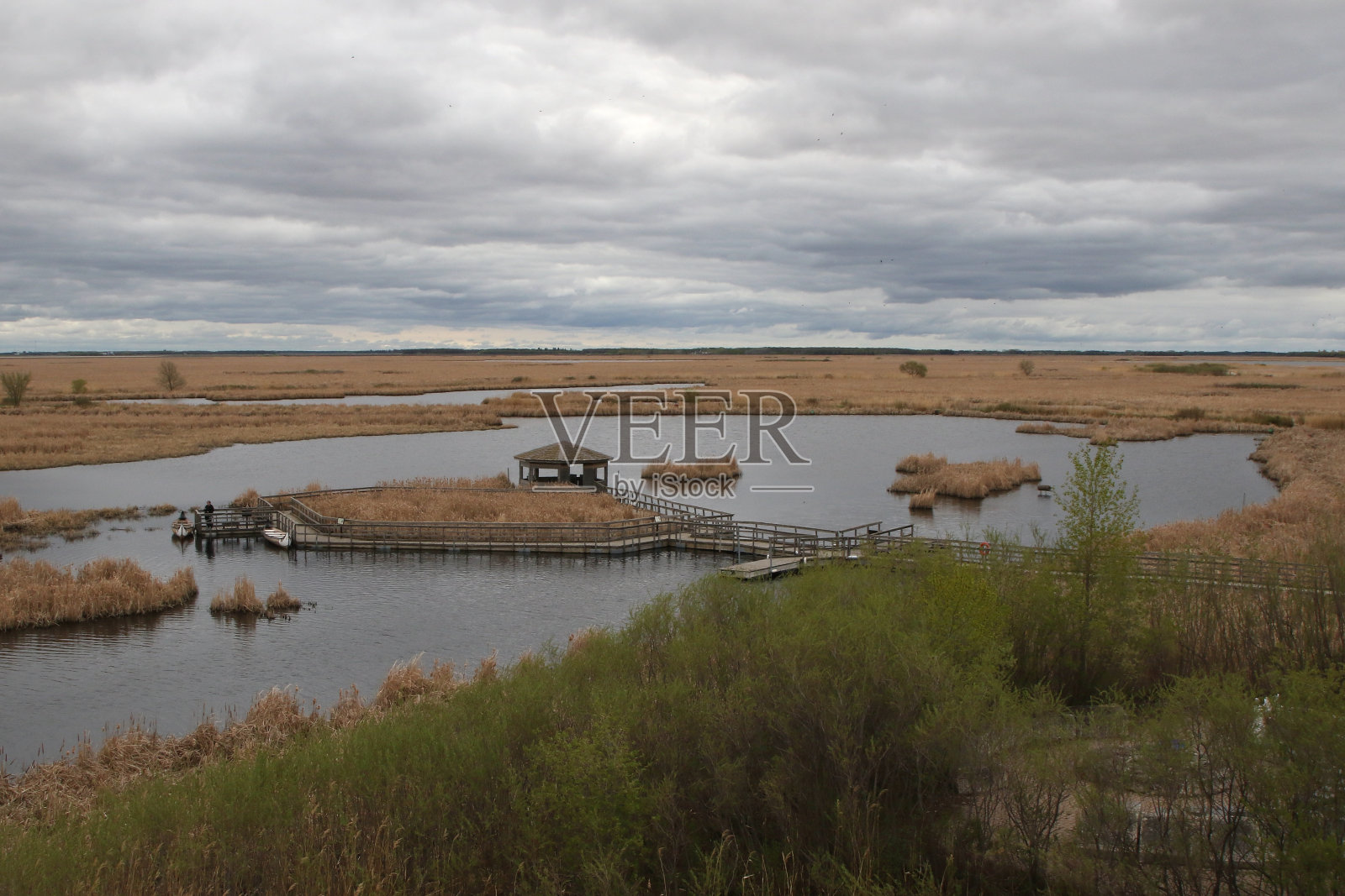 橡树吊床沼泽自然中心，马尼托巴温尼伯照片摄影图片