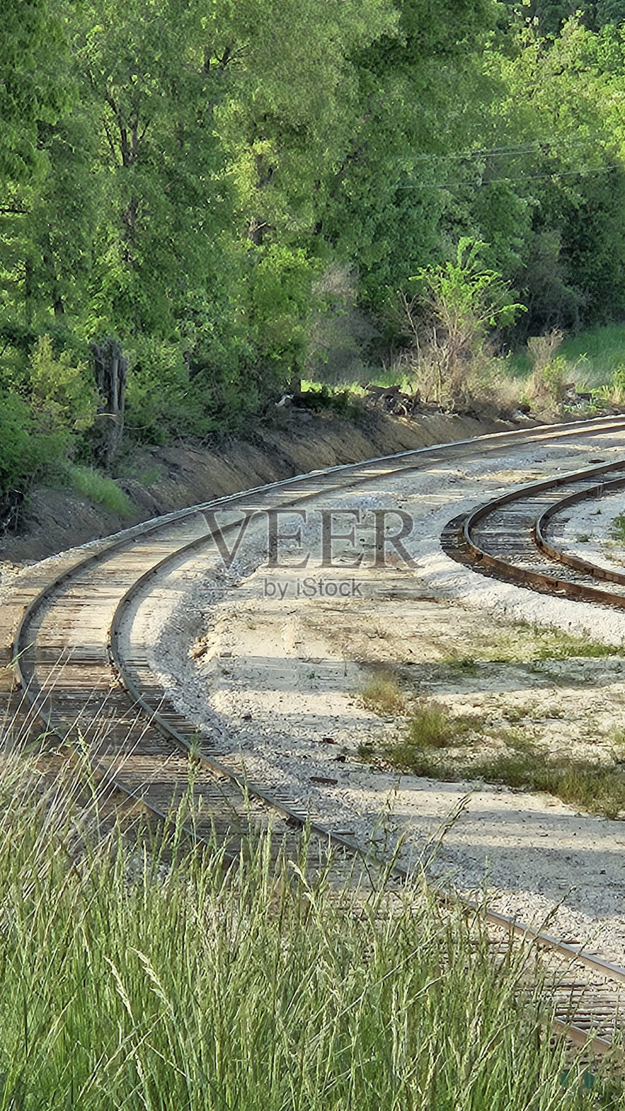 学会弯曲照片摄影图片