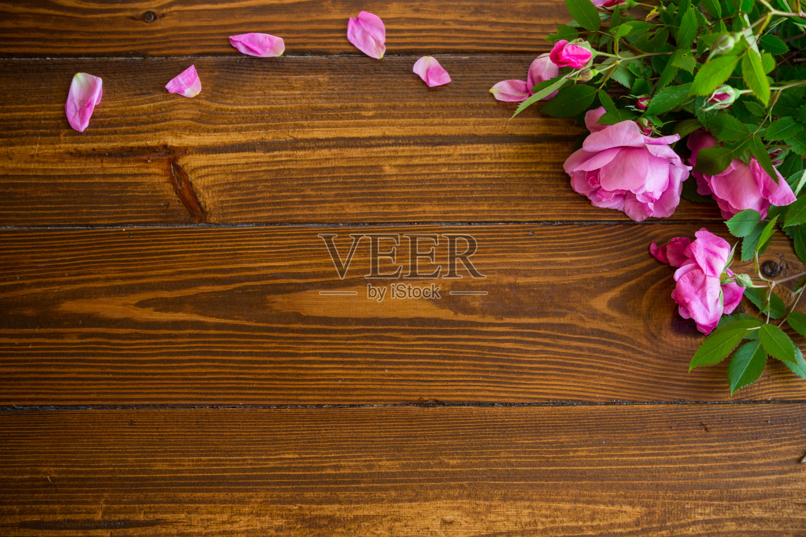 木制桌子上粉红色玫瑰的花卉背景照片摄影图片