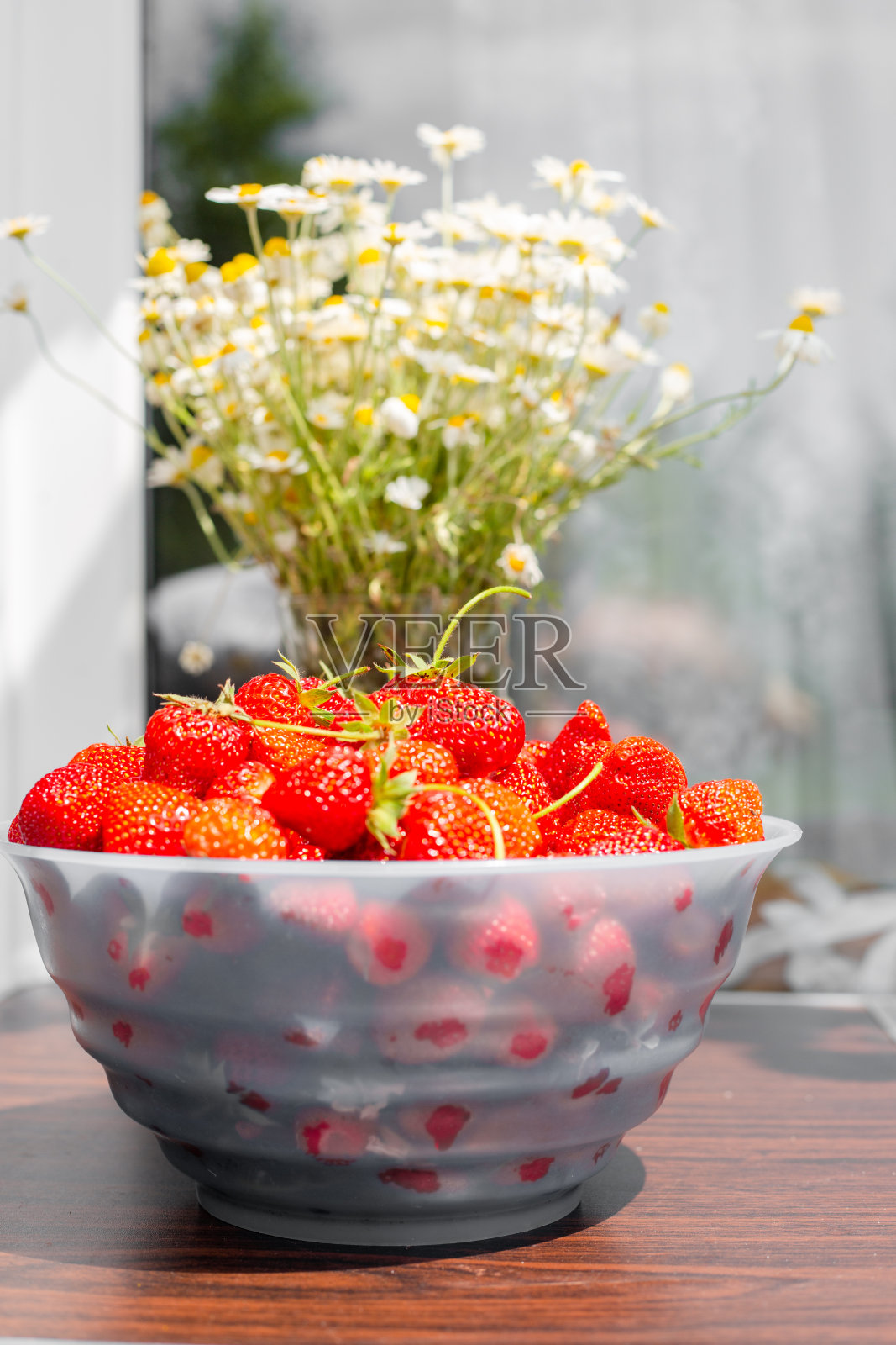 桌上有一碗熟透多汁的草莓，旁边是阳台窗边花瓶里的一束雏菊照片摄影图片