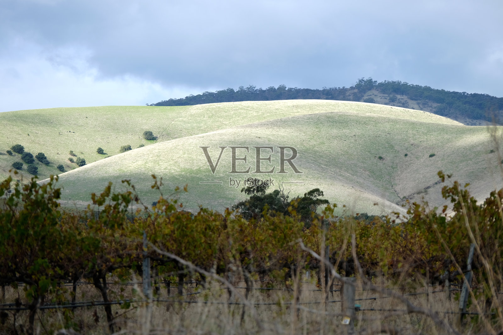 南澳大利亚巴罗萨谷的青山照片摄影图片