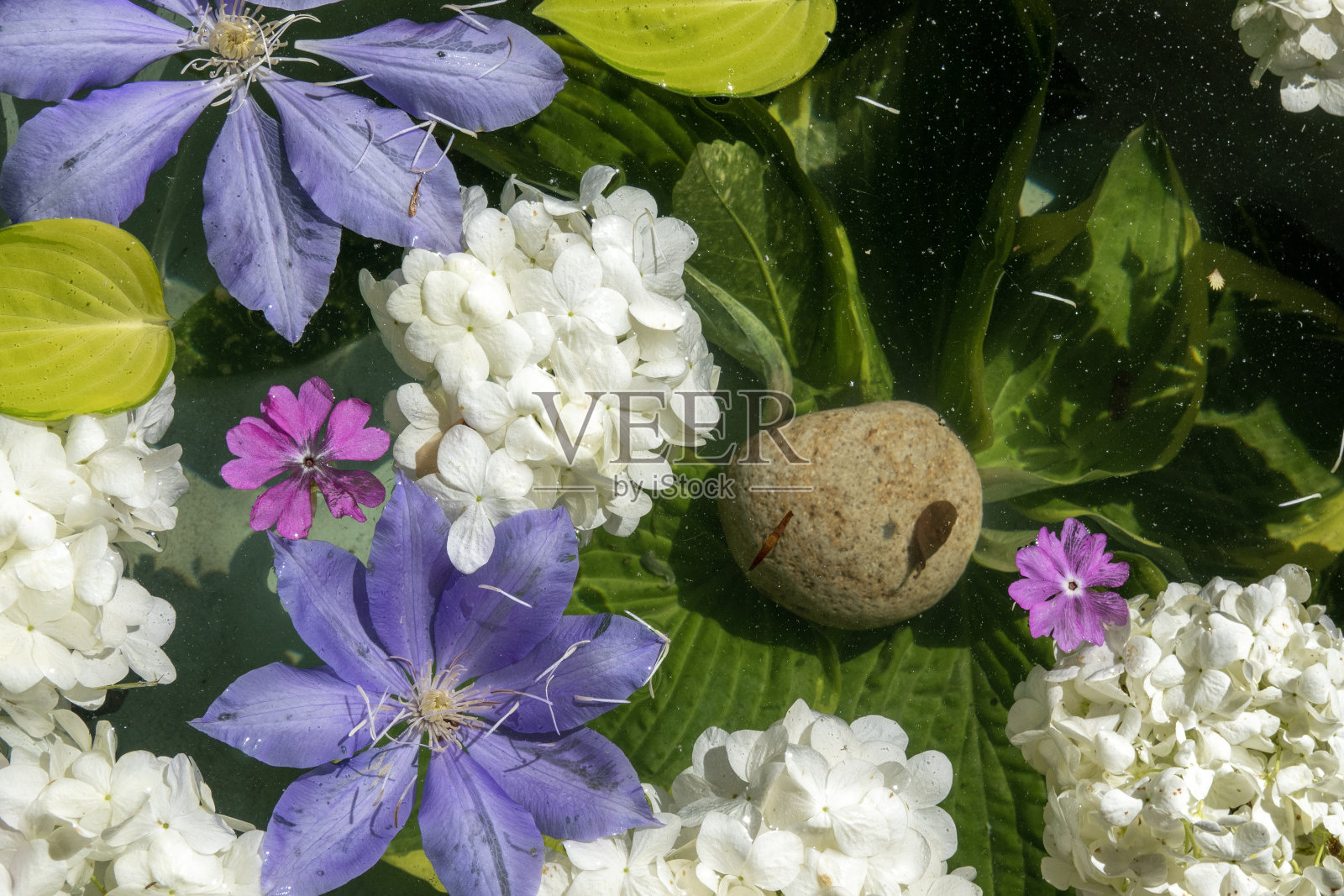 插花照片摄影图片