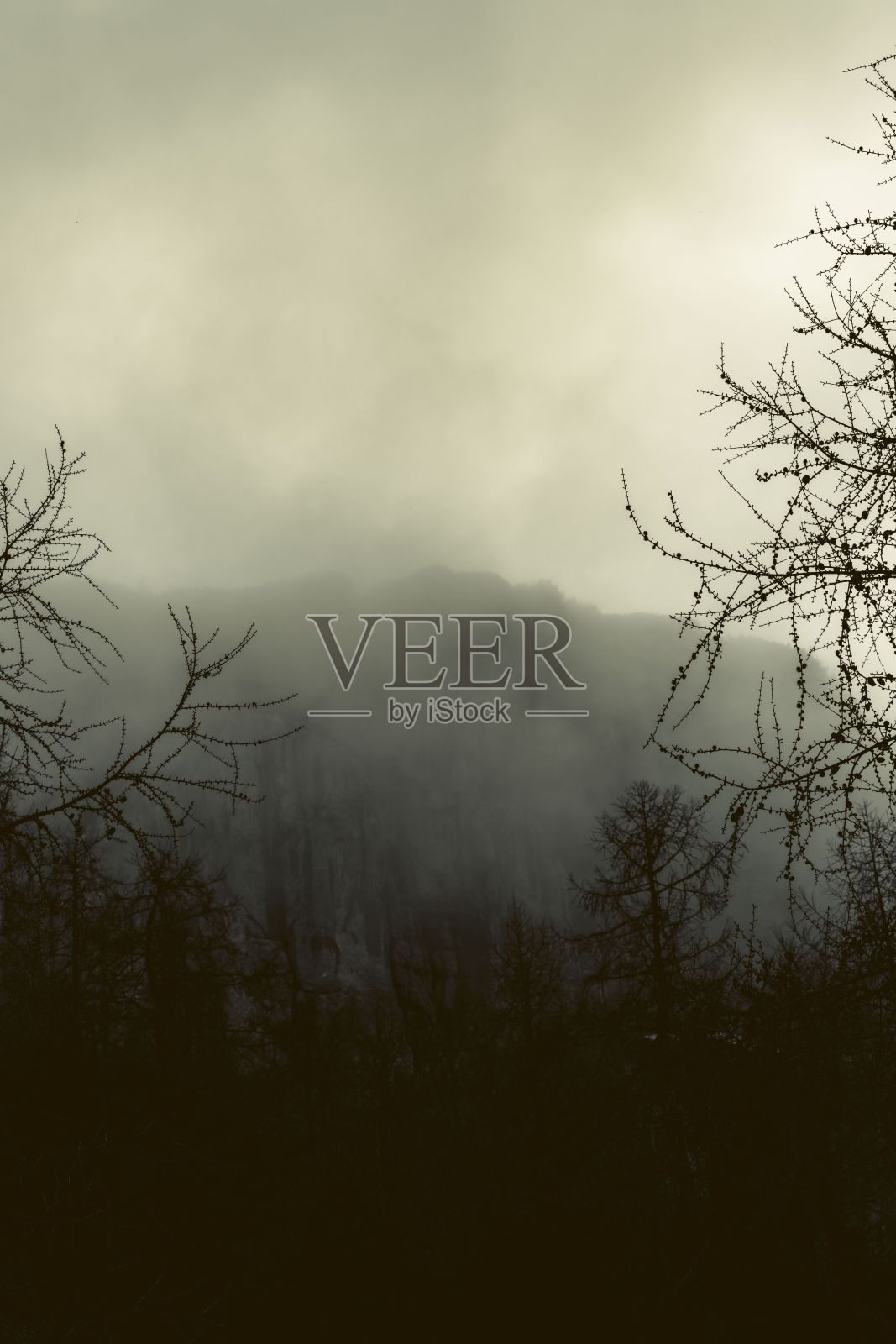 贝希特斯加登远处连绵起伏的丘陵和树木的美景照片摄影图片