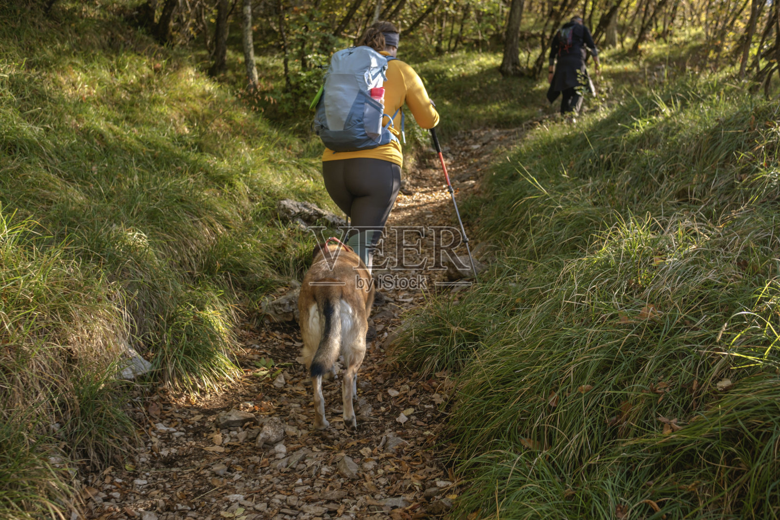 借助杆子徒步旅行照片摄影图片