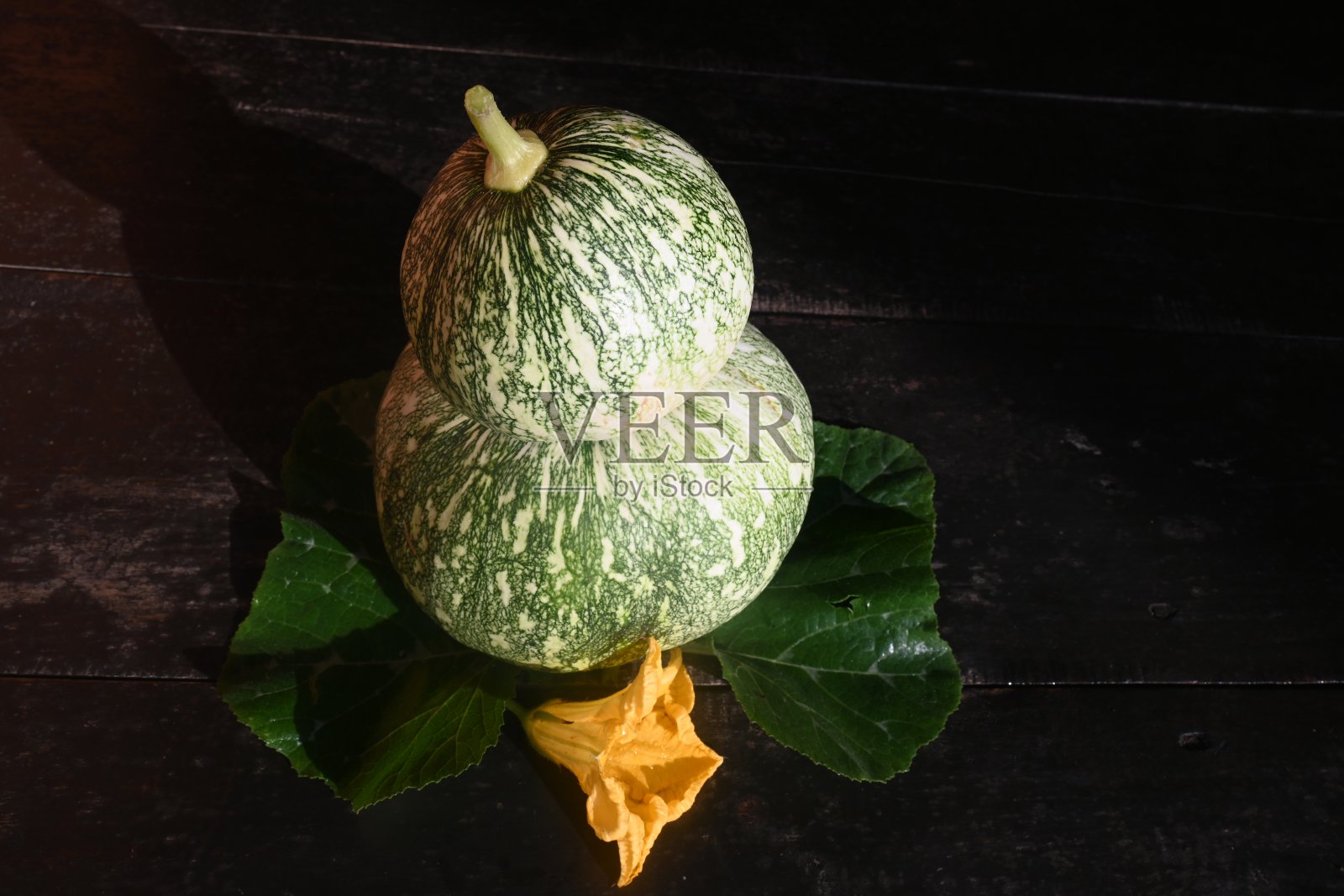 Cucurbita最大值。照片摄影图片