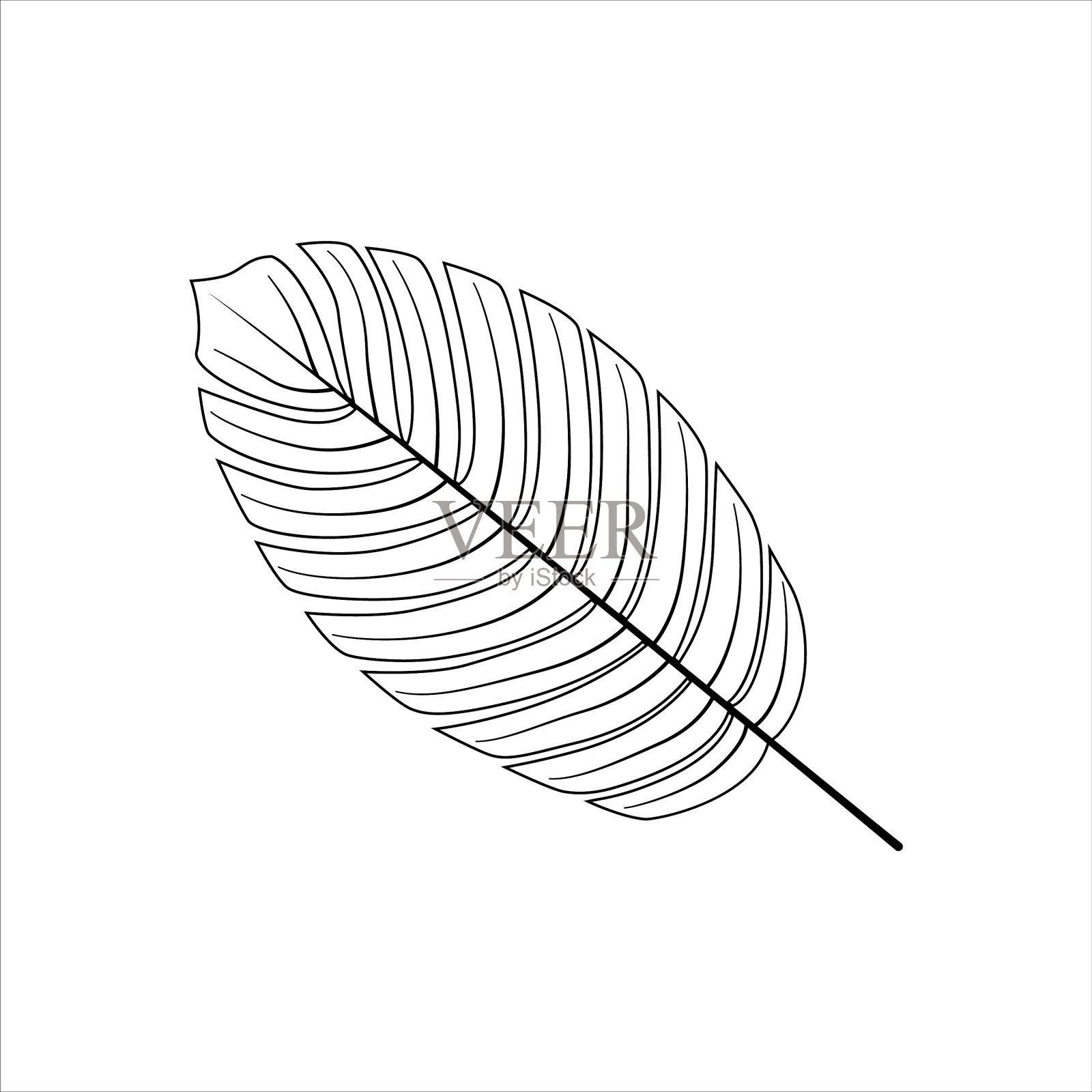 怪物棕榈叶热带线条艺术轮廓插图孤立在白色背景上。外来室内植物轮廓。矢量植物夏季设计元素插画图片素材