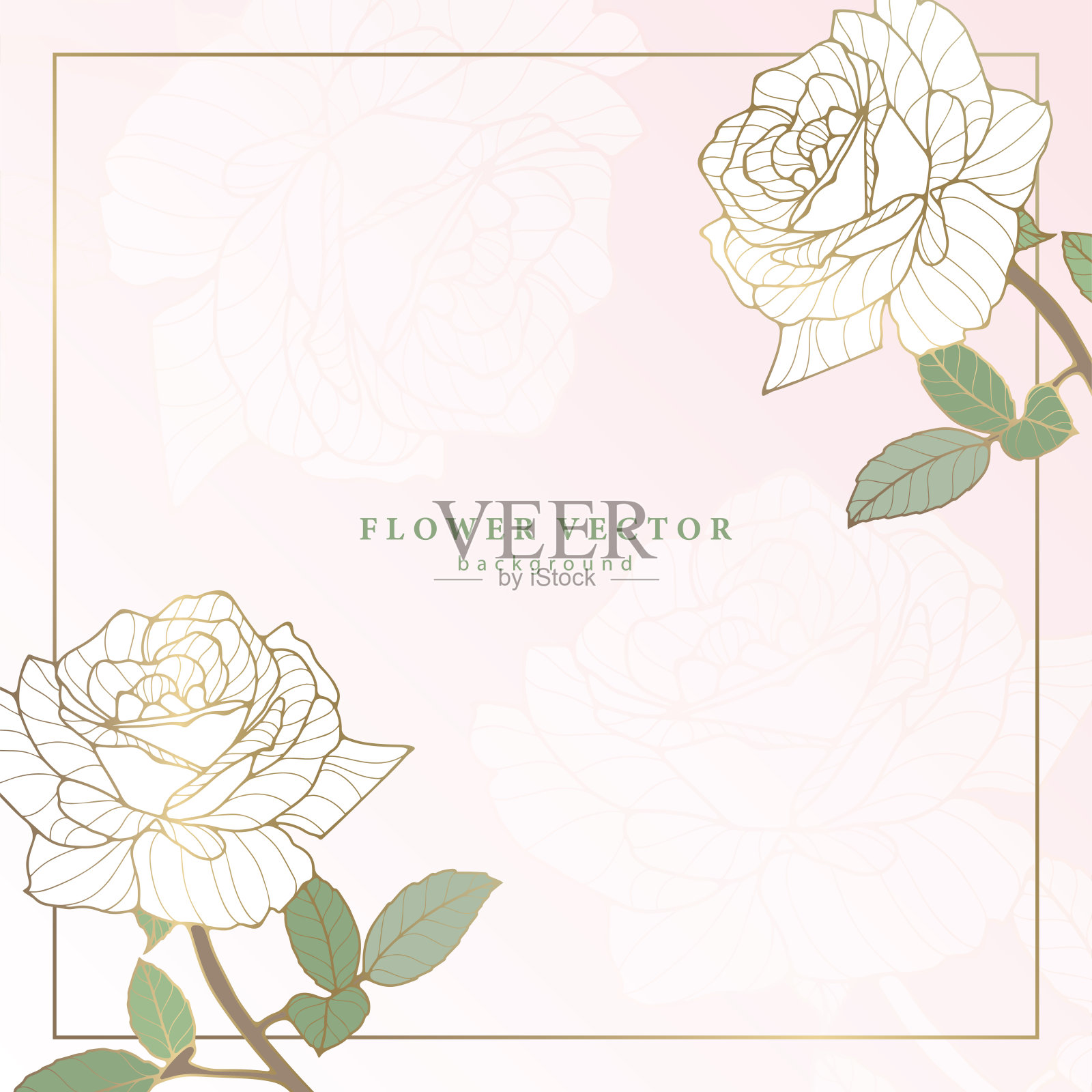 方形精致的花卉背景与白玫瑰和金色的笔触。花框架的照片，文字，文凭，明信片和演讲插画图片素材