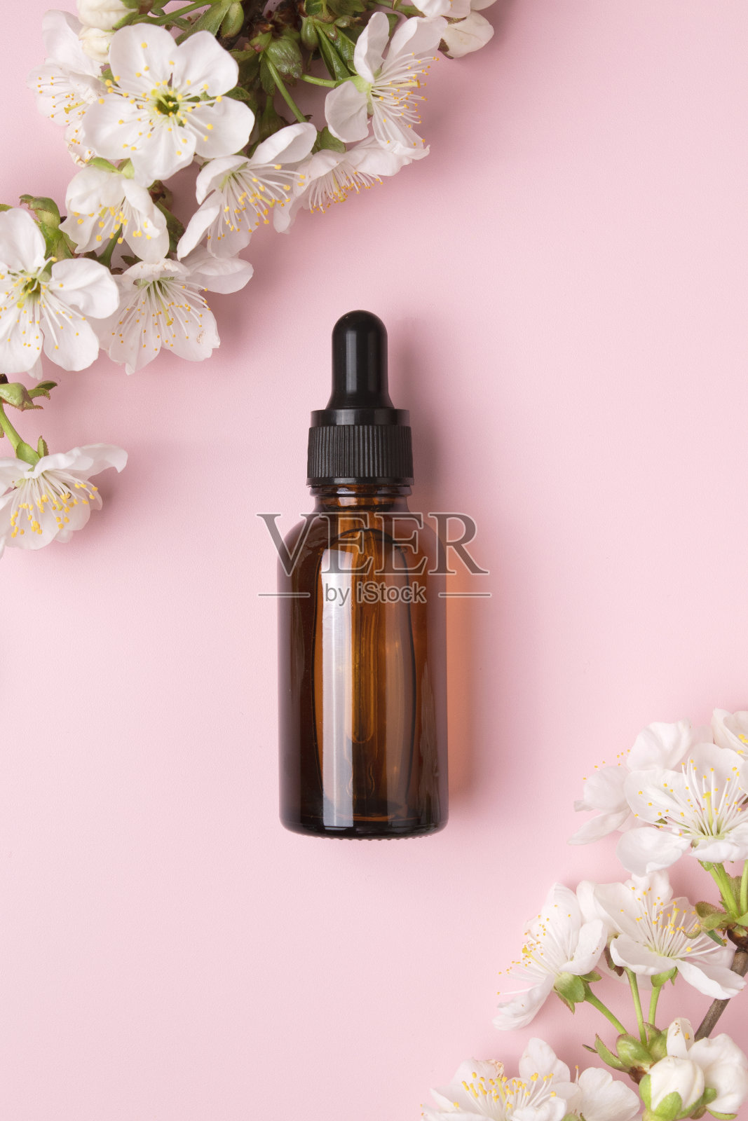 玻璃瓶与油，血清粉红色的背景与盛开的樱桃。平铺，极简主义。Cosmetical工具。照片摄影图片