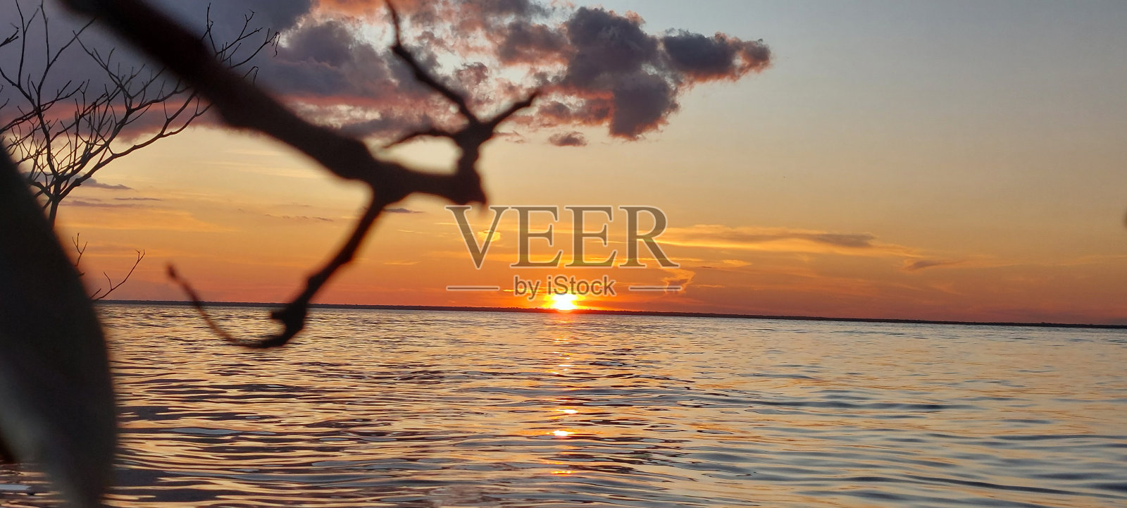 天然美女照片摄影图片