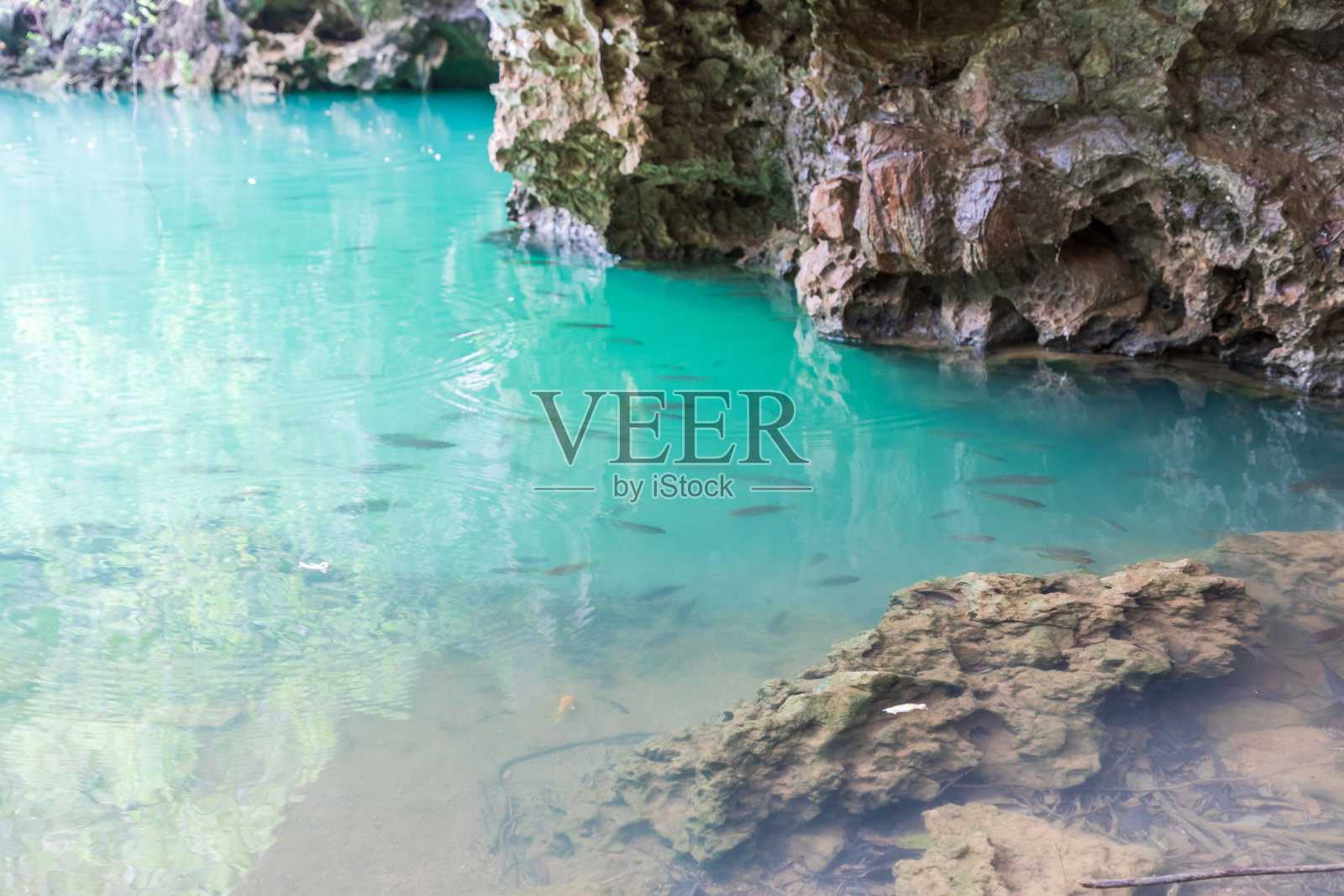 蓝色池塘照片摄影图片