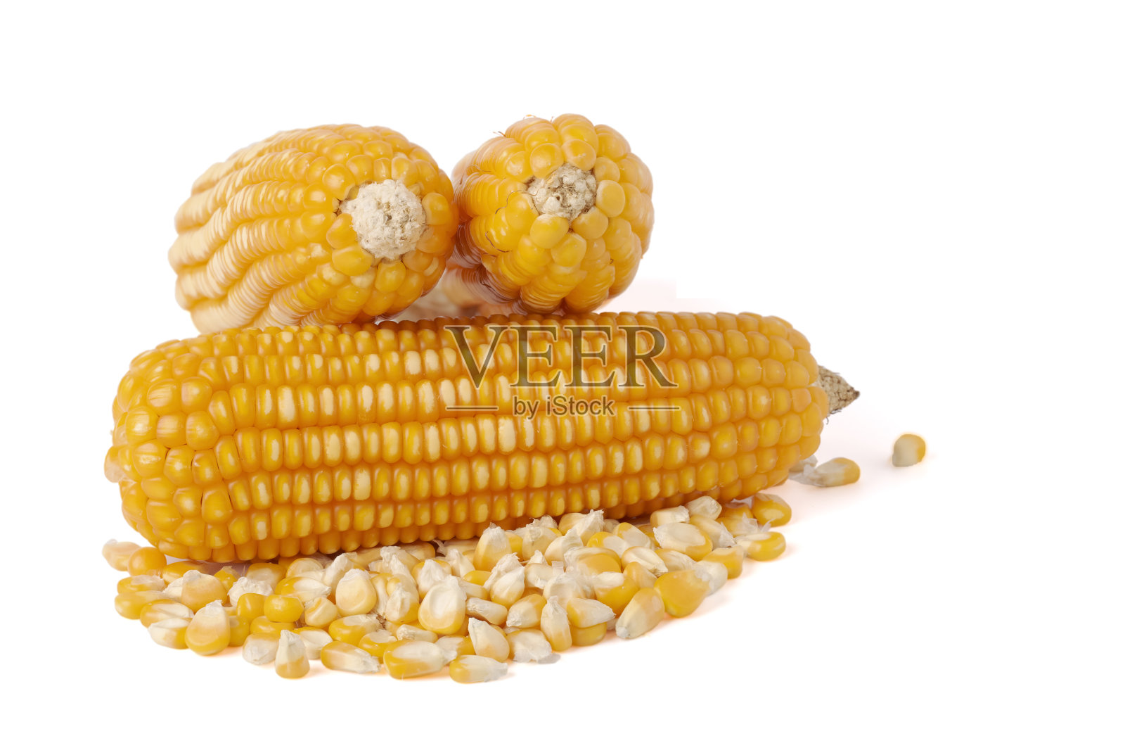 等待收割作动物饲料的干玉米照片摄影图片