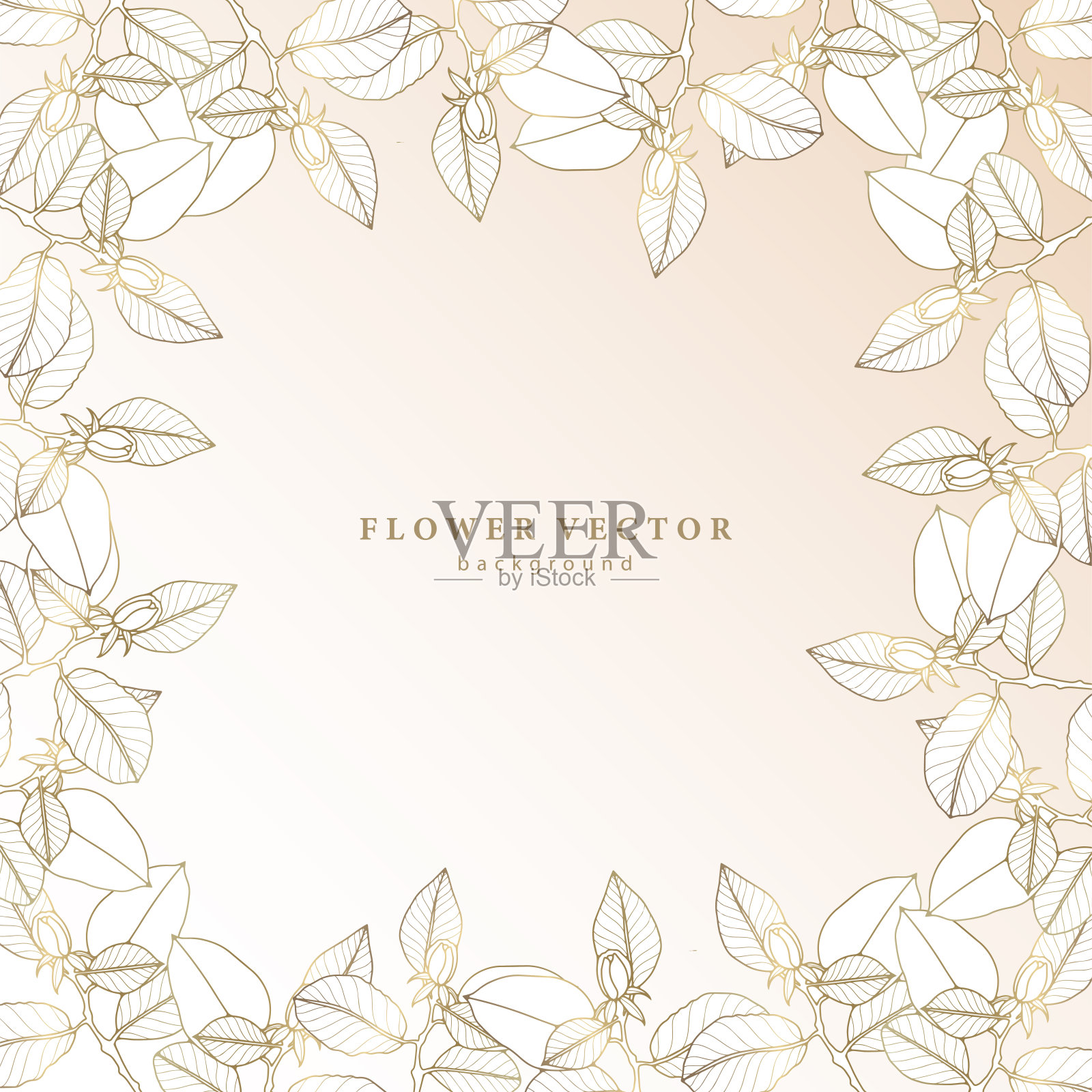 精致的梯度花卉背景与玫瑰枝。背景明信片，文凭，邀请和婚礼卡，封面，设计插画图片素材