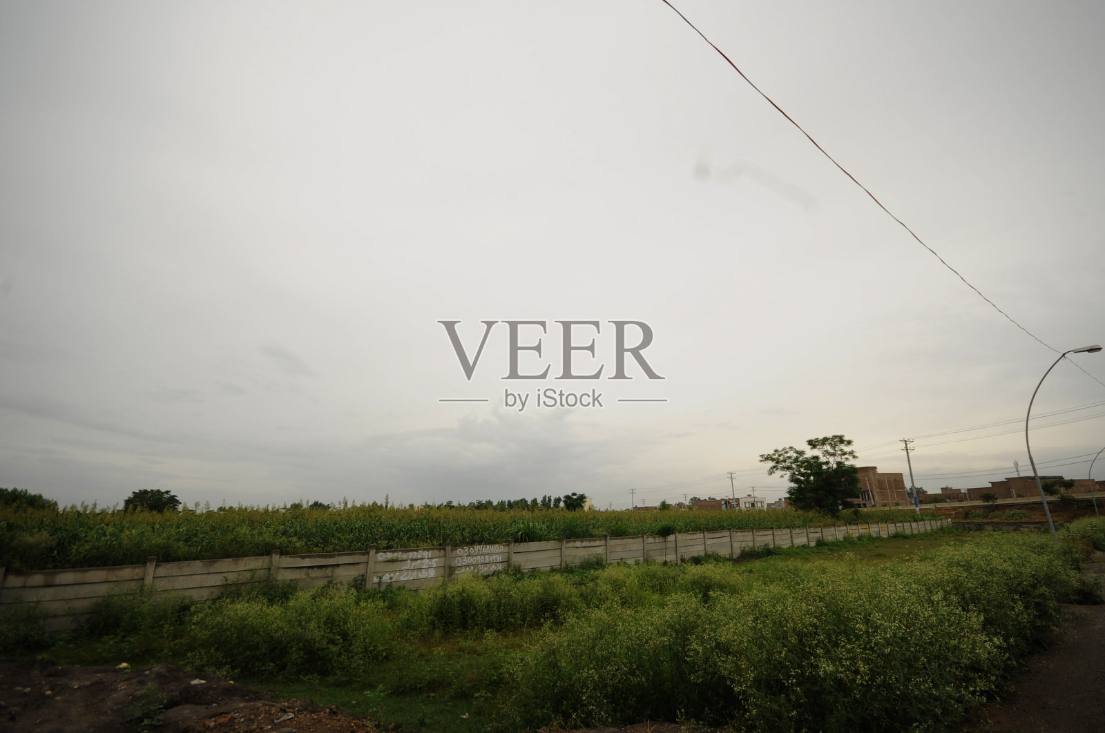 白沙瓦的田野照片摄影图片