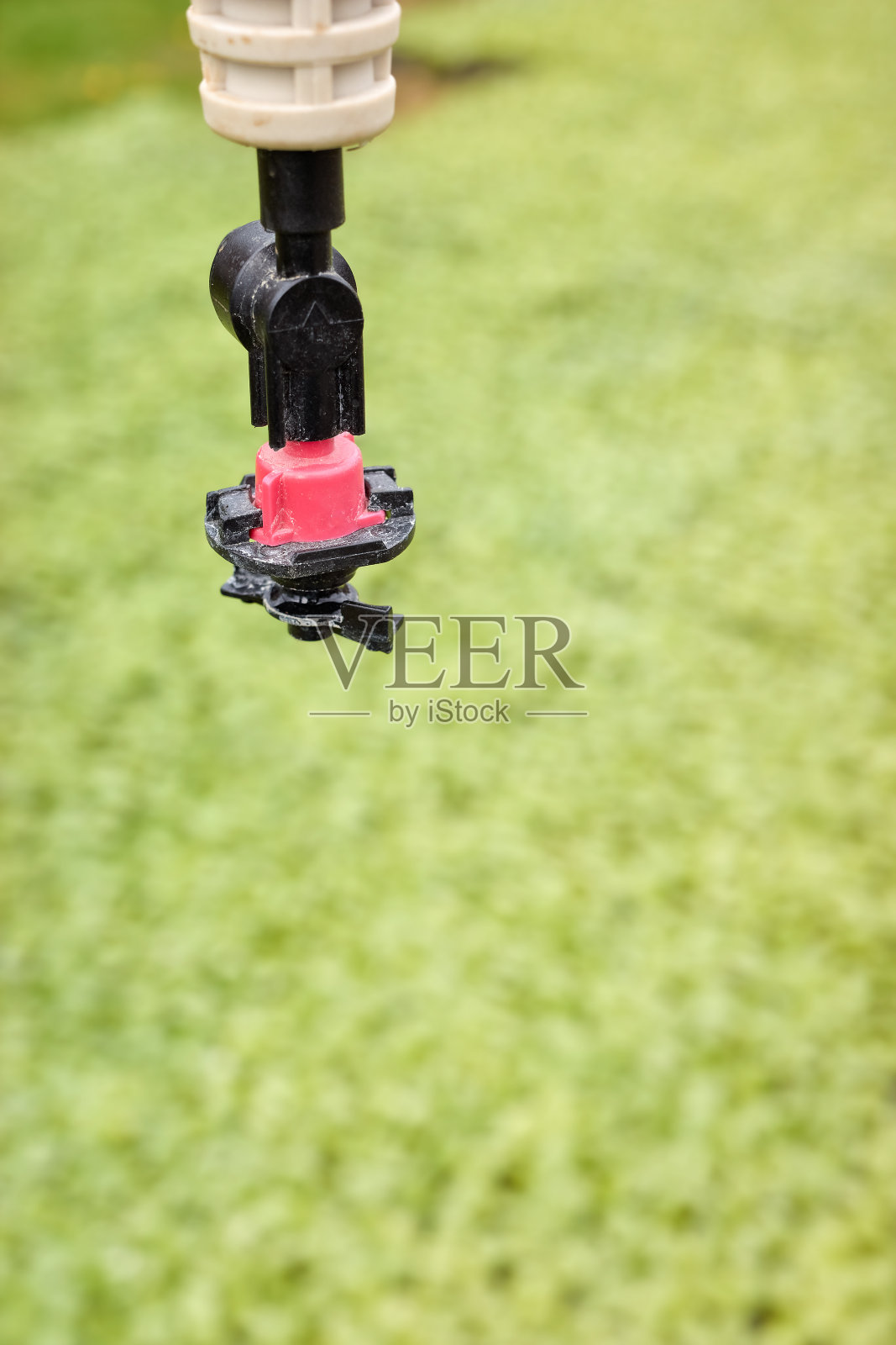 一个园艺悬挂洒水器的特写照片照片摄影图片