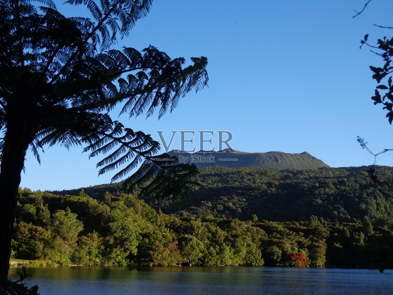 有瀑布的森林湖照片摄影图片