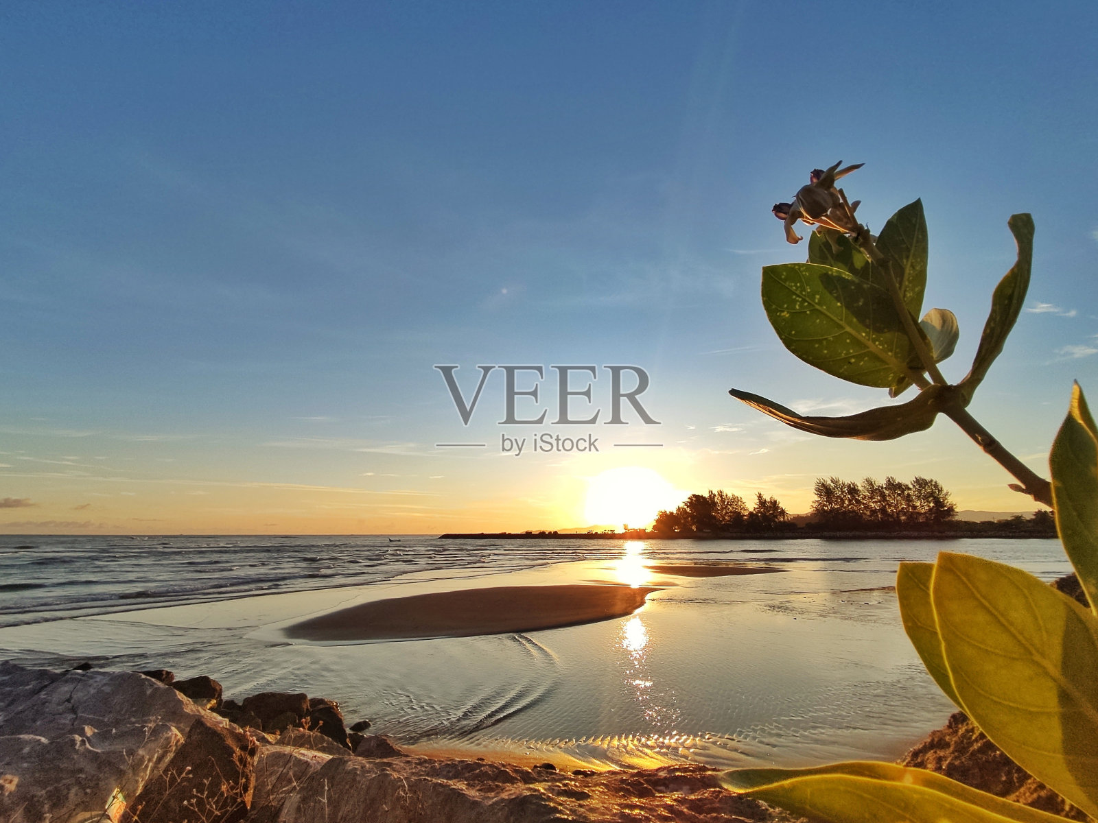 早上共鸣照片摄影图片