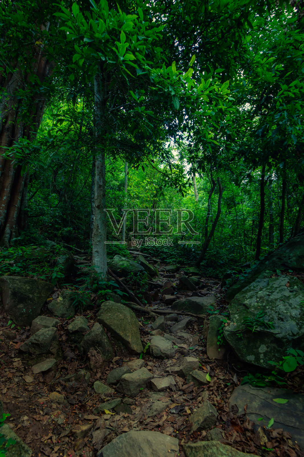 一直到莱伊省的富克拉登。照片摄影图片