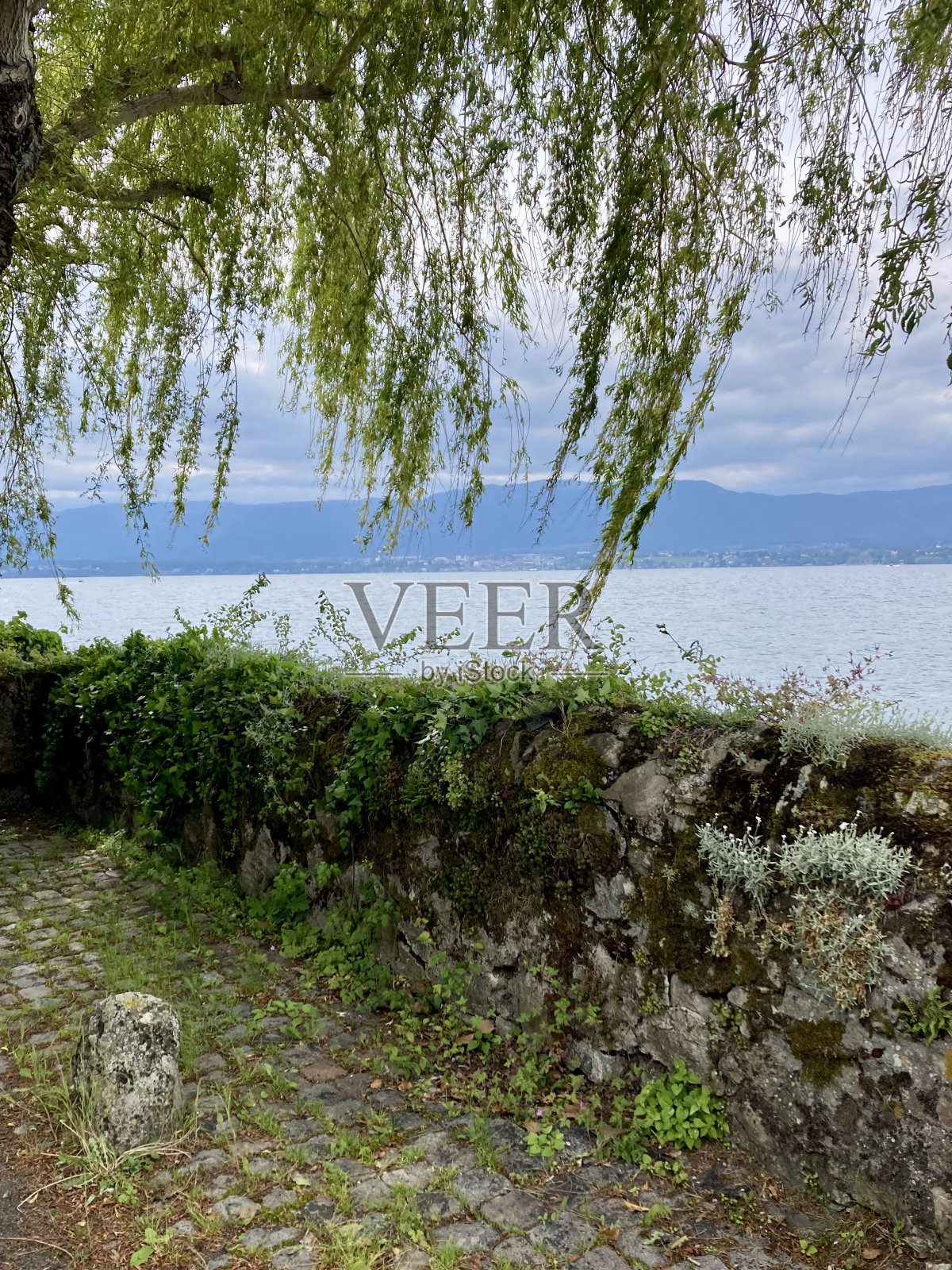 法国-上萨瓦-纳尼尔-莱曼湖照片摄影图片