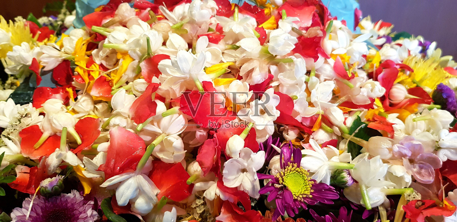 美丽的花有茉莉花，玫瑰，紫色的莉莉和水滴。照片摄影图片