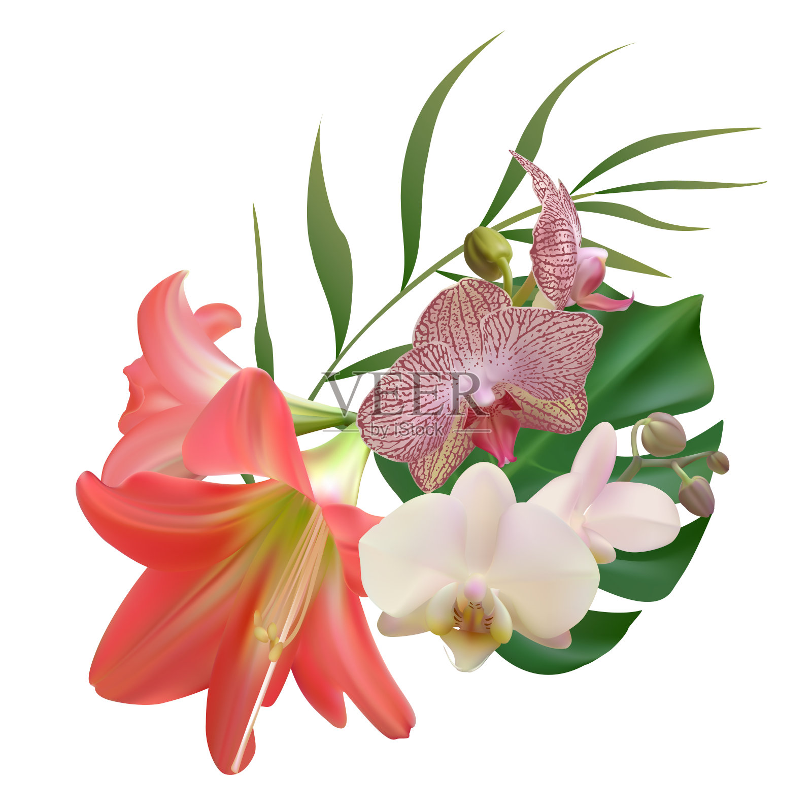 美丽的花朵。兰花。粉色的百合。棕榈叶。花束。异国情调。热带的背景。热带花朵和树叶的明亮矢量插图。插画图片素材