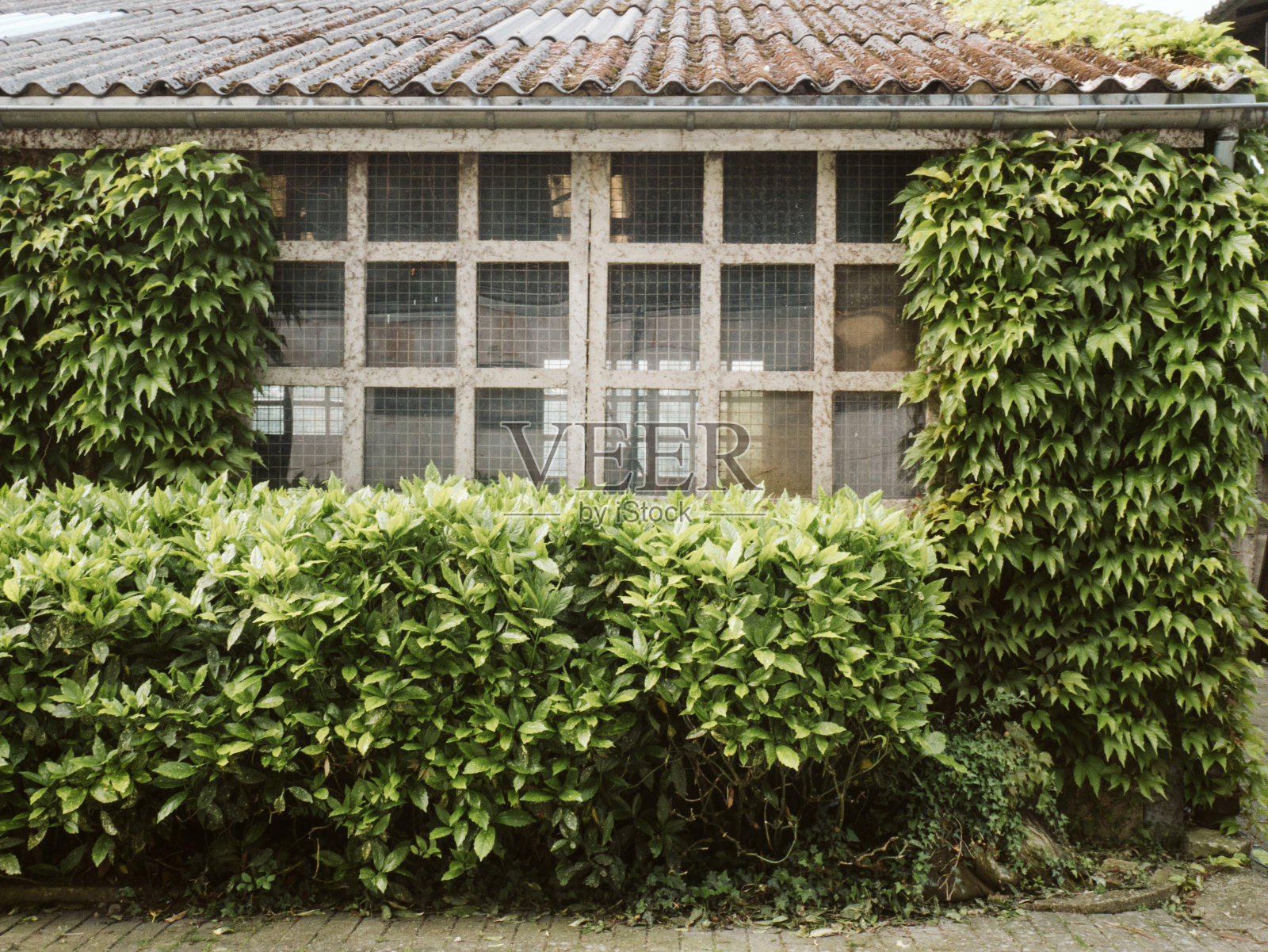 旧煤矿的比利时煤矿在瓦隆-比利时-欧洲照片摄影图片