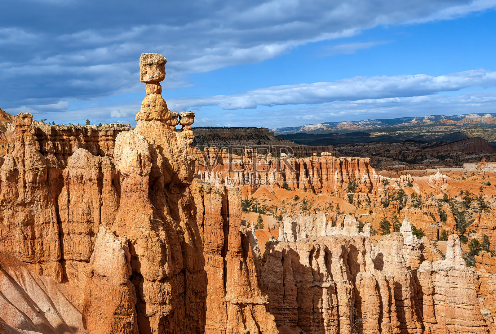 美国犹他州布莱斯峡谷国家公园，夏季布莱斯峡谷的胡毒巫术岩层。照片摄影图片