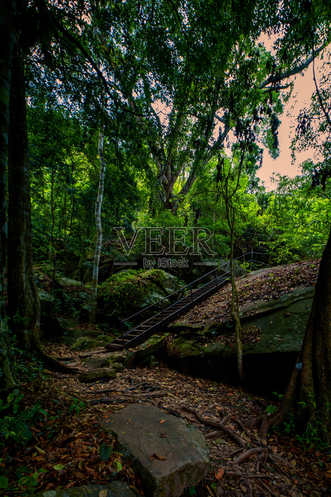 一直到莱伊省的富克拉登。照片摄影图片