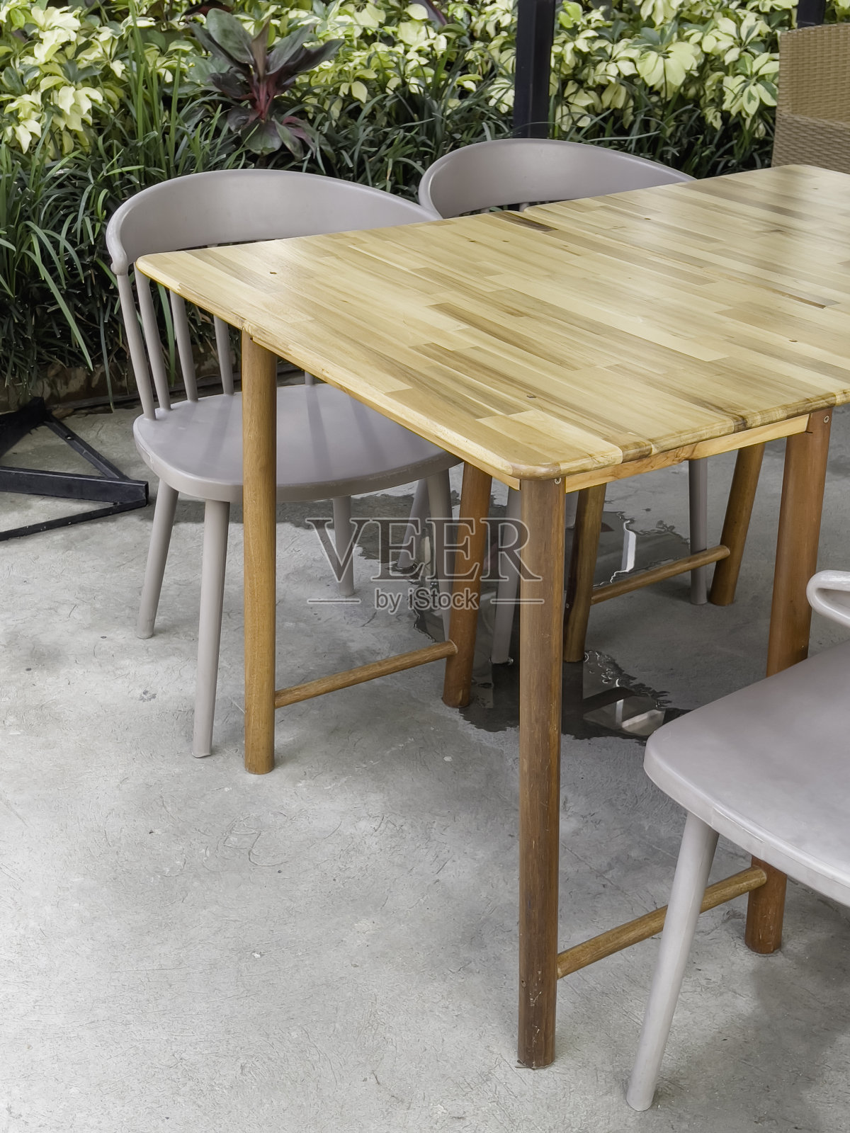 热带花园，有神奇的植物和鲜花照片摄影图片