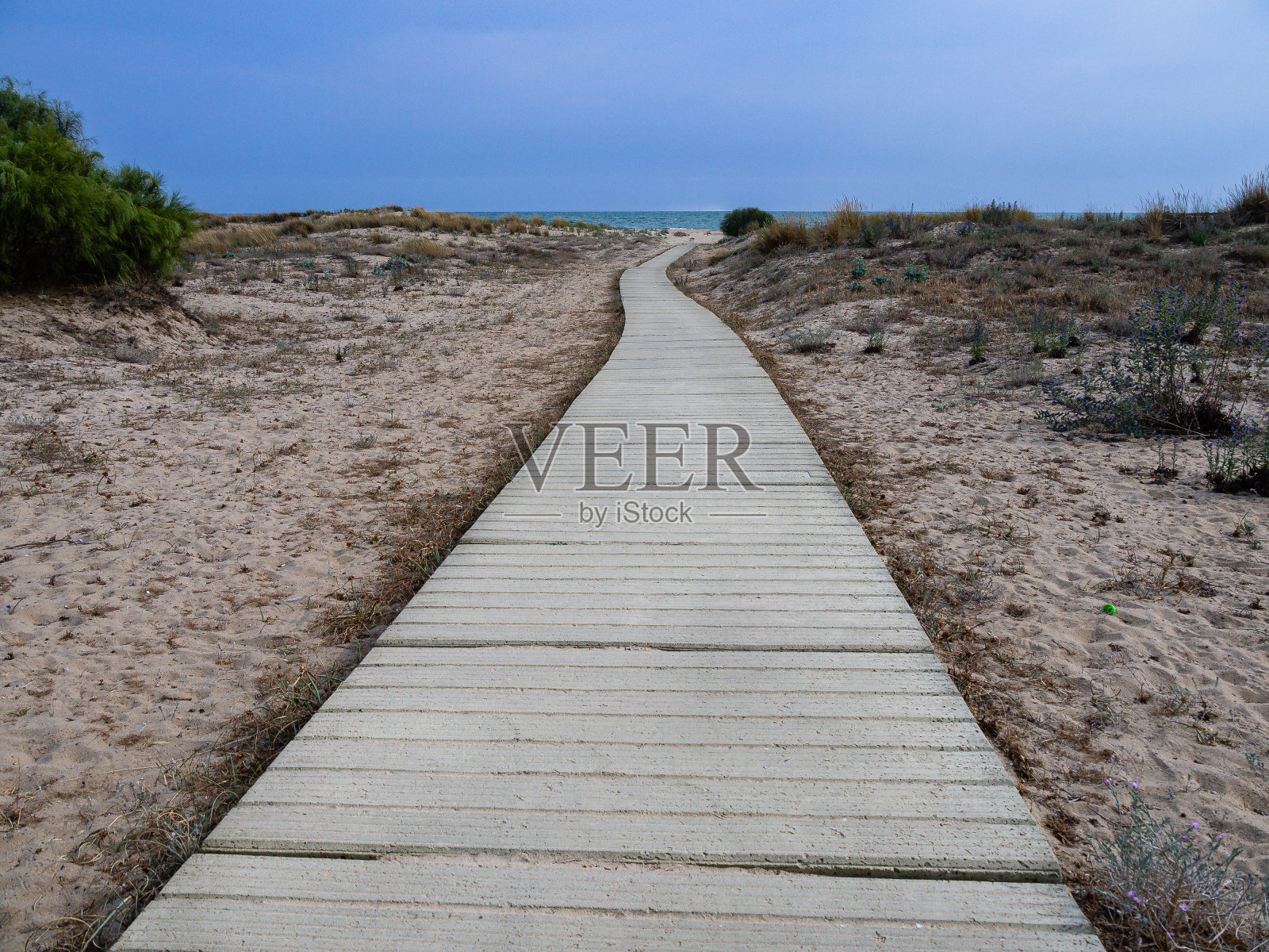 通往海滩的木制小径，底部视图，复制空间照片摄影图片