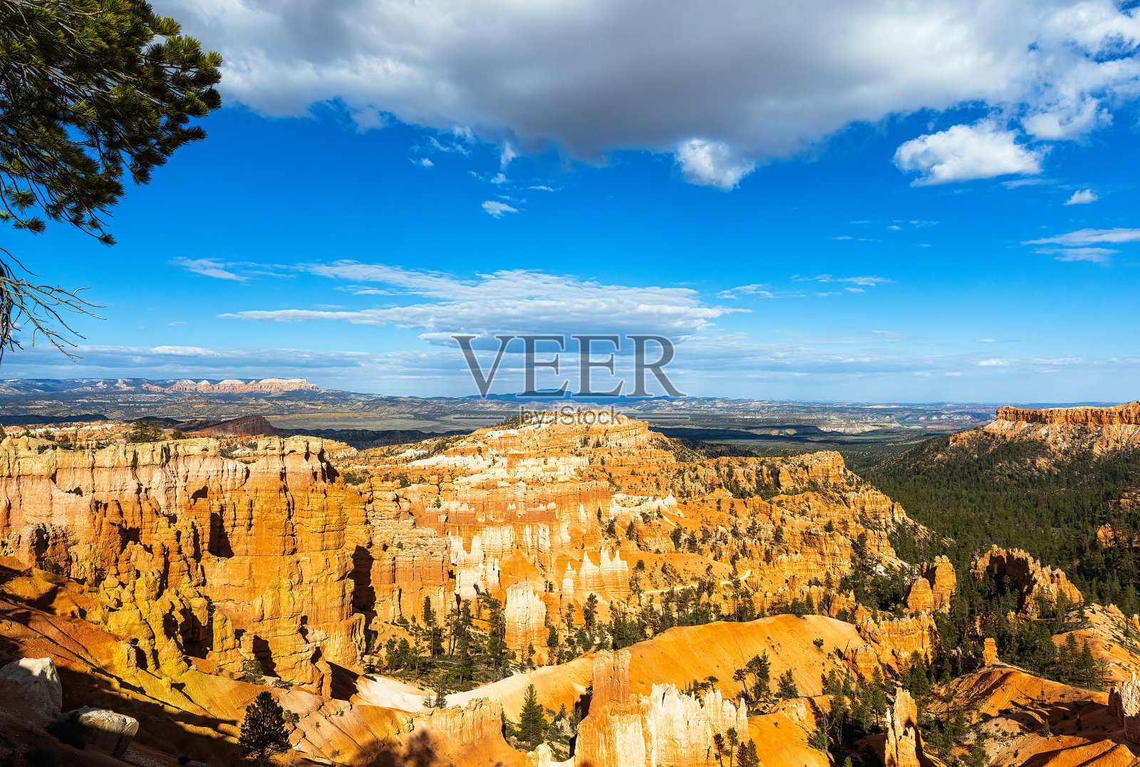 美国犹他州布莱斯峡谷国家公园，夏季布莱斯峡谷的胡毒巫术岩层。照片摄影图片