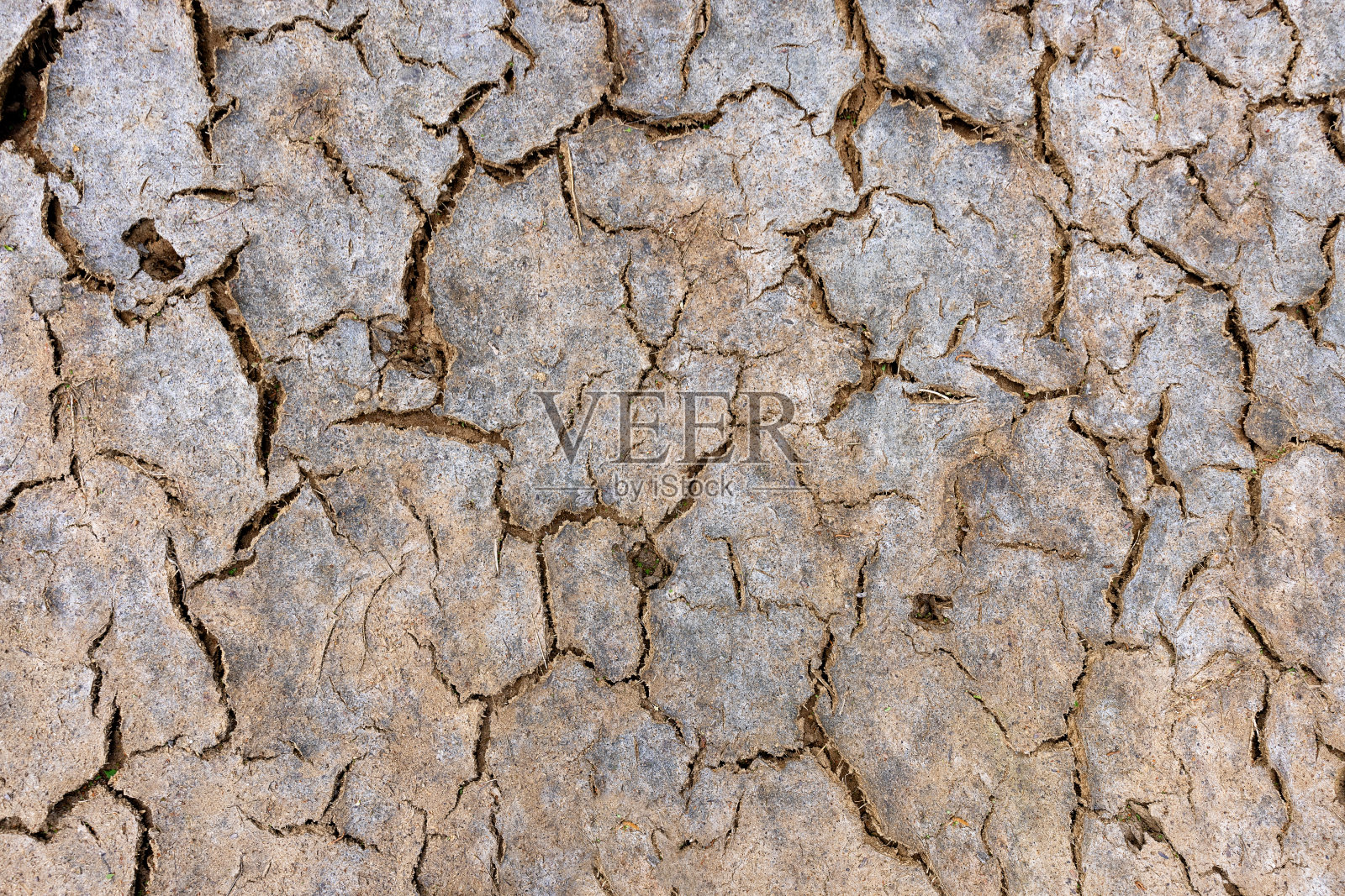 炎热季节过后干燥土壤表面的裂缝。照片摄影图片