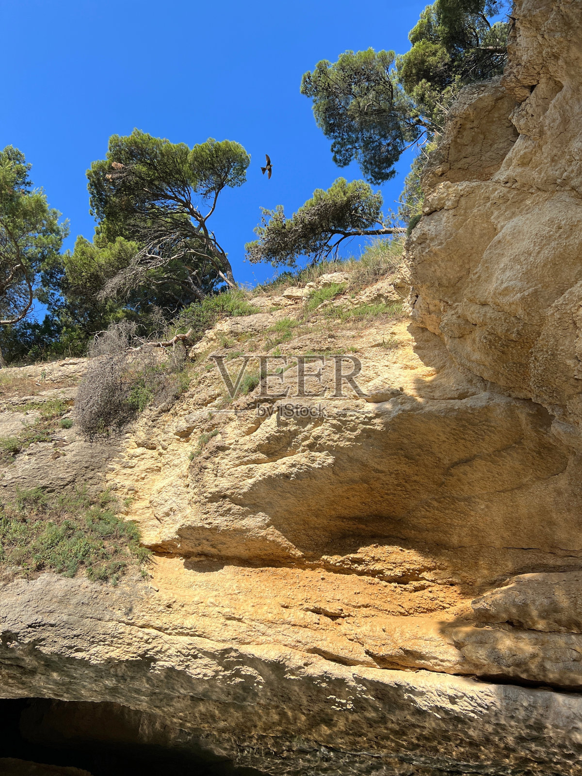 山顶有松树的风景优美的岩石。照片摄影图片